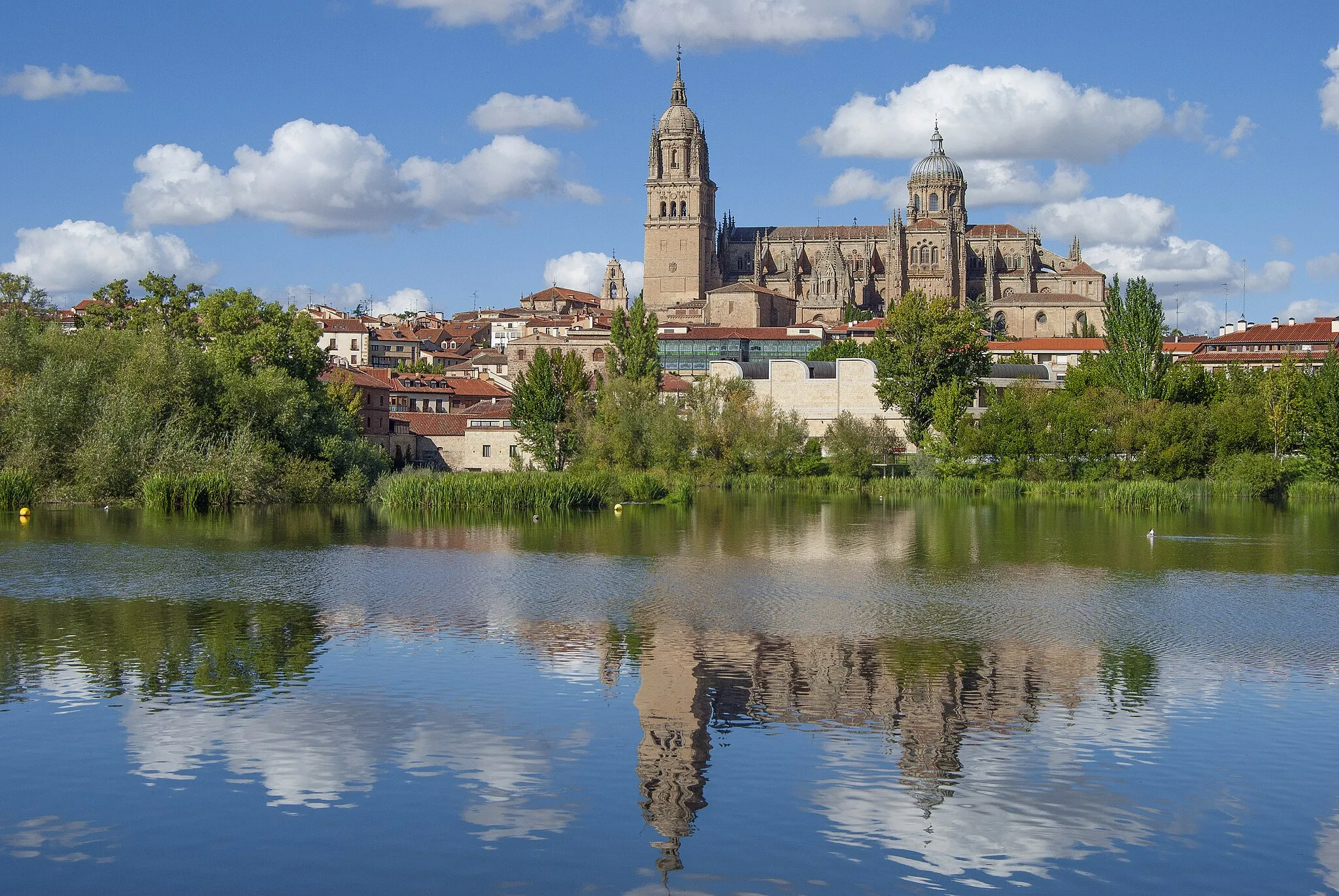 Photo showing: New Cathedral, Salamanca