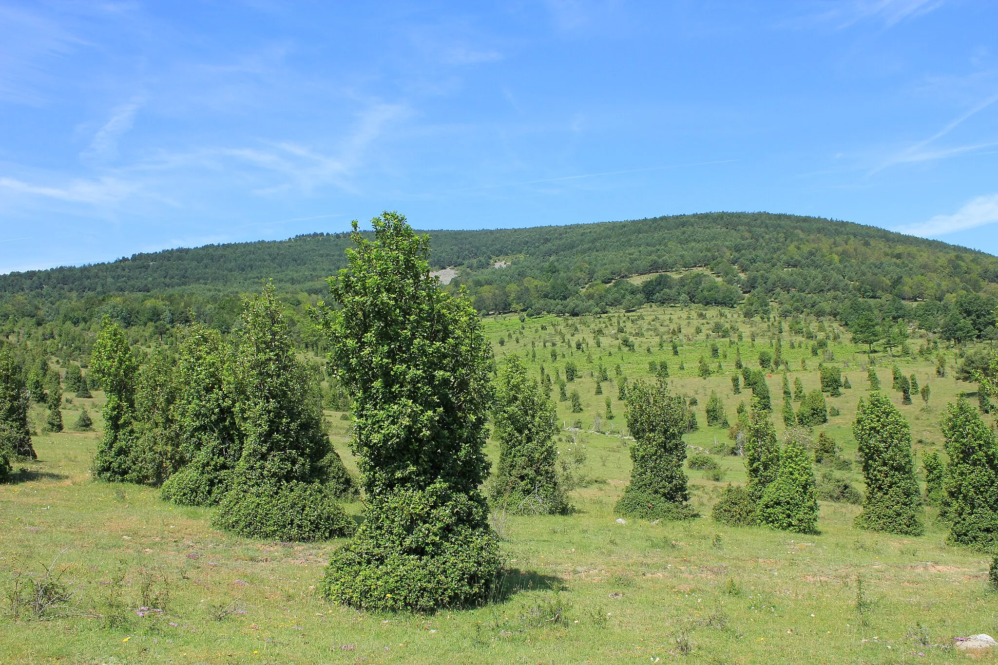 Photo showing: This is a photography of a Special Area of Conservation in Spain with the ID: