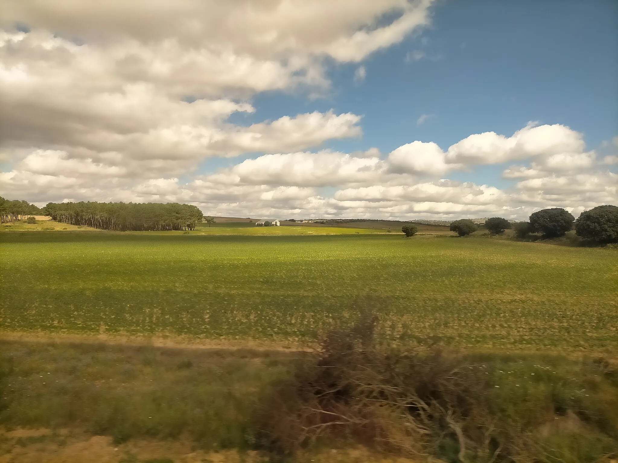 Photo showing: Viaje en tren Madrid-Soria en julio de 2023.