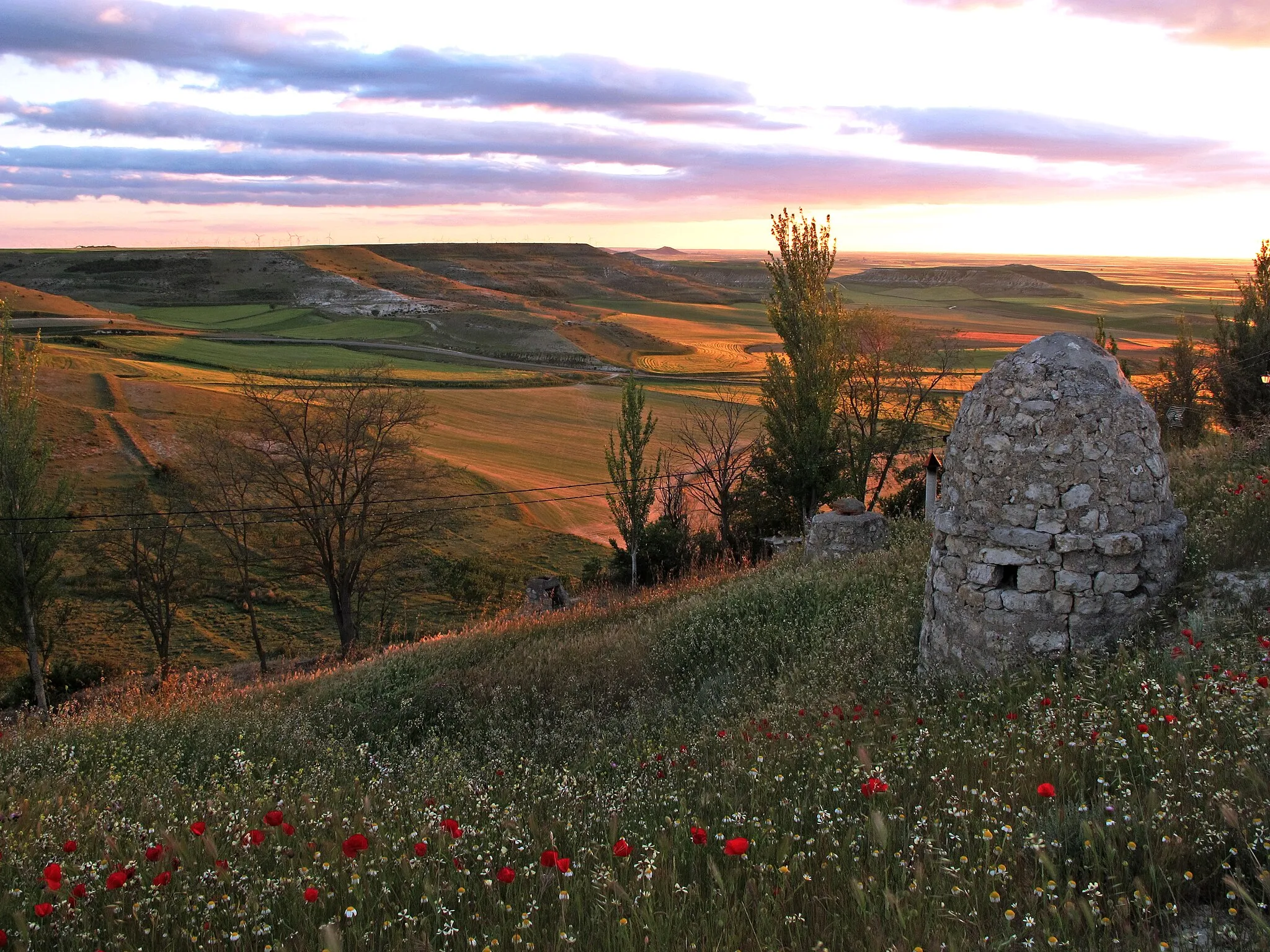 Photo showing: Mirador de Autilla del Pino (Palencia).