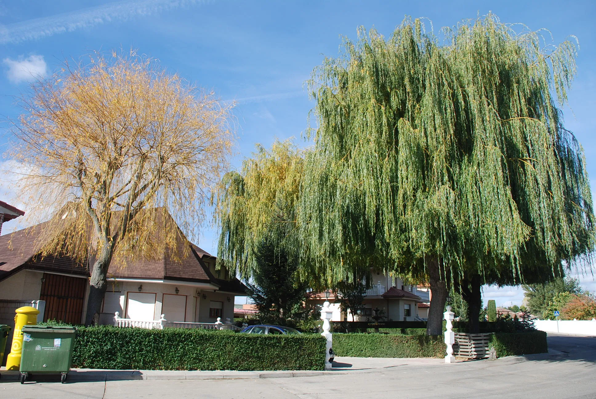 Photo showing: Villaluenga de la Vega (Palencia, Castile and León).