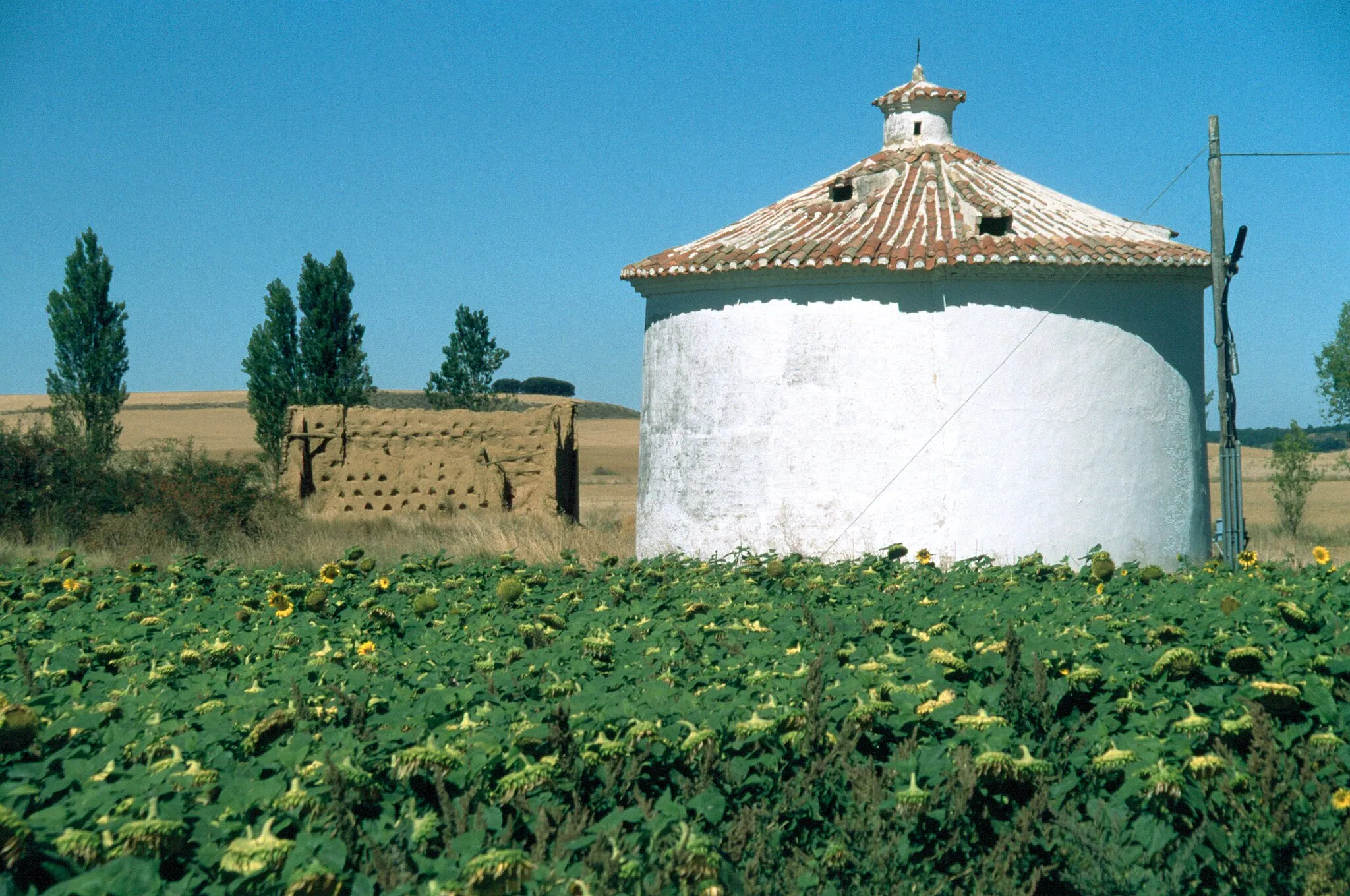 Photo showing: Calzadilla in Spain