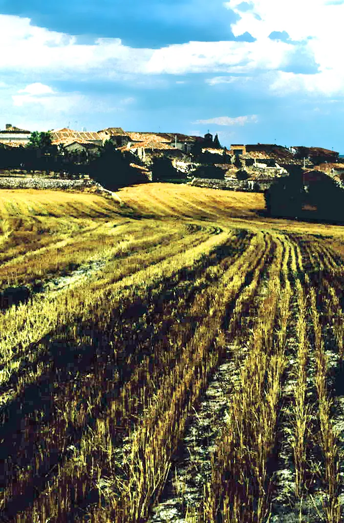 Photo showing: The village and its surroundings. Cobertelada, Soria, Castile and León, Spain