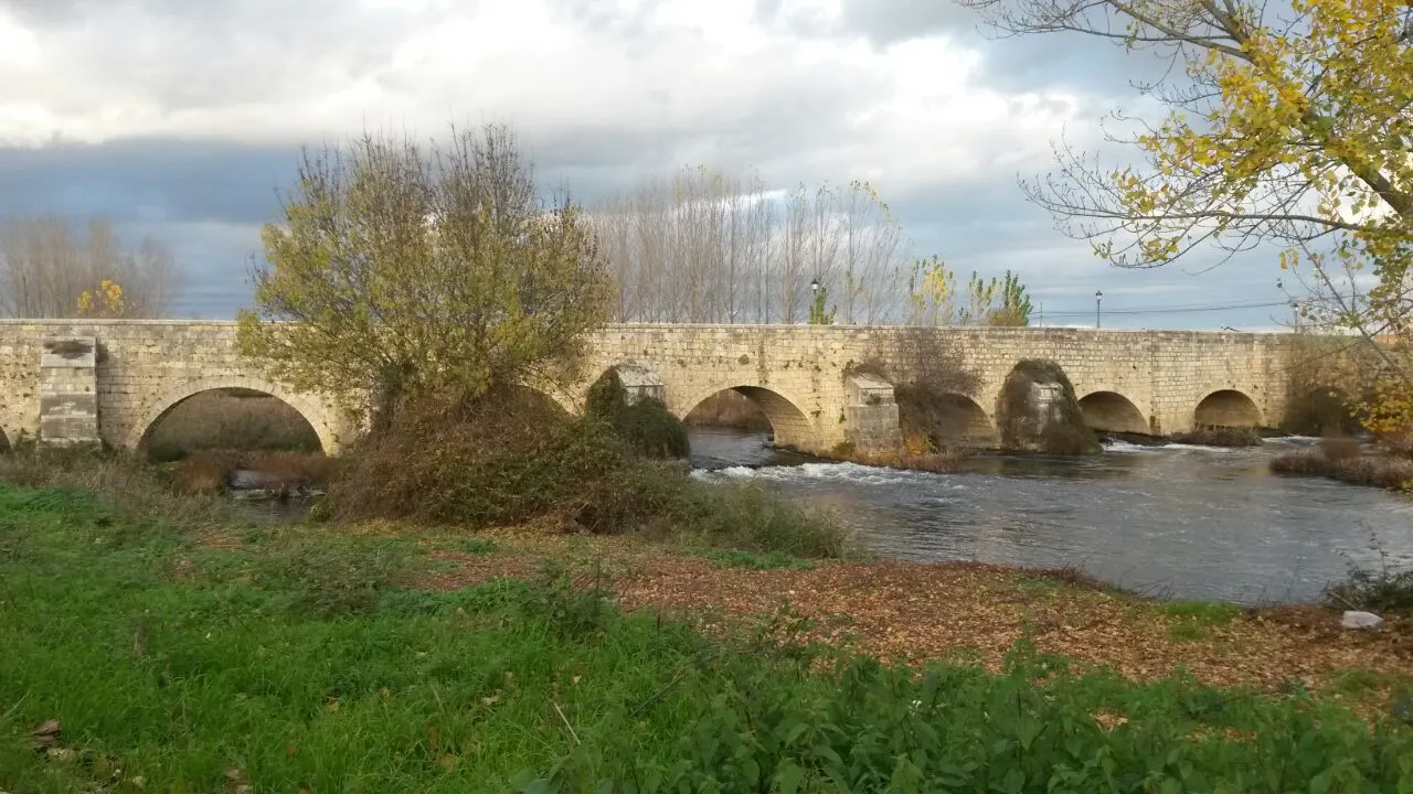 Photo showing: Vista general del puente románico de Villamuriel de Cerrato.