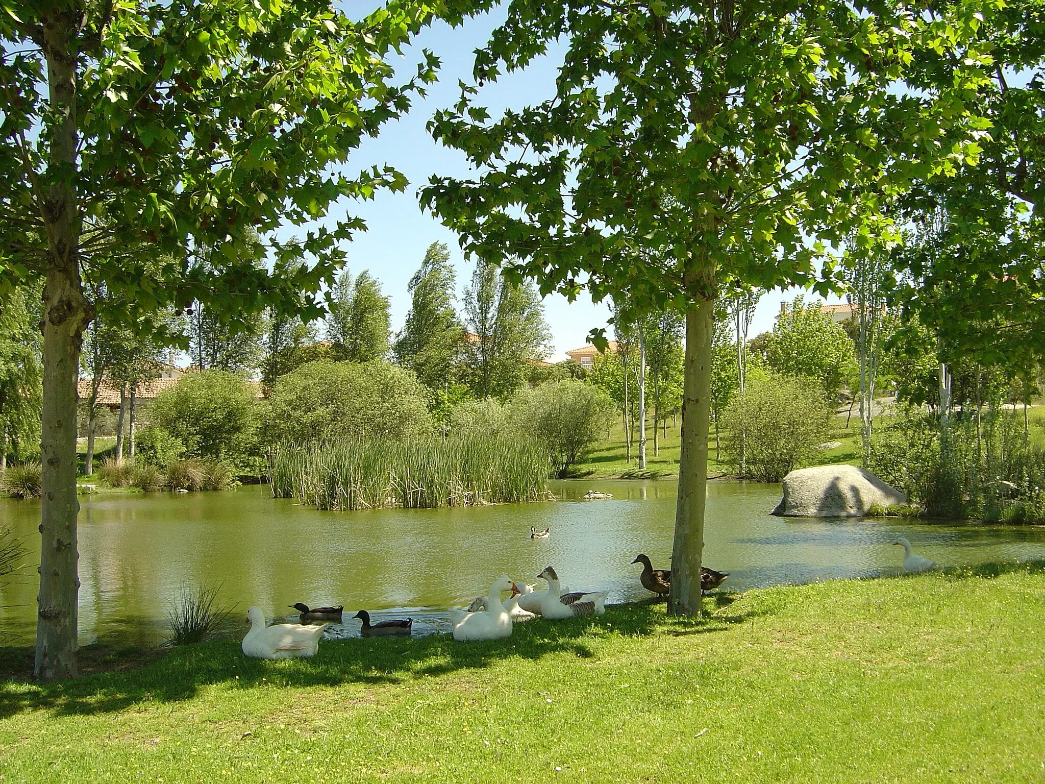 Photo showing: Los Jardines del Lago, Chapinería, Madrid.