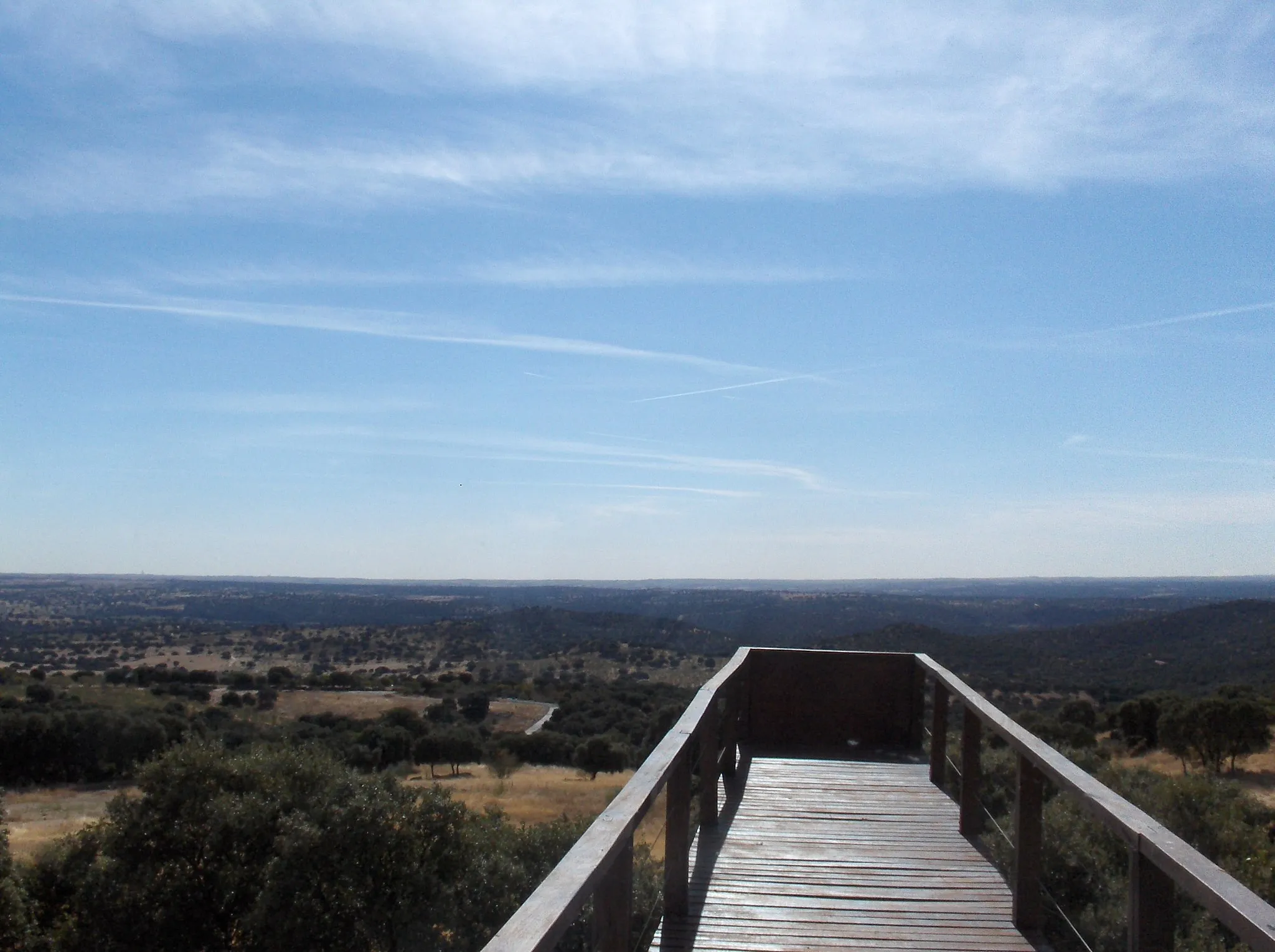 Photo showing: View of Chapinería woods from de Environment Centre El Águila