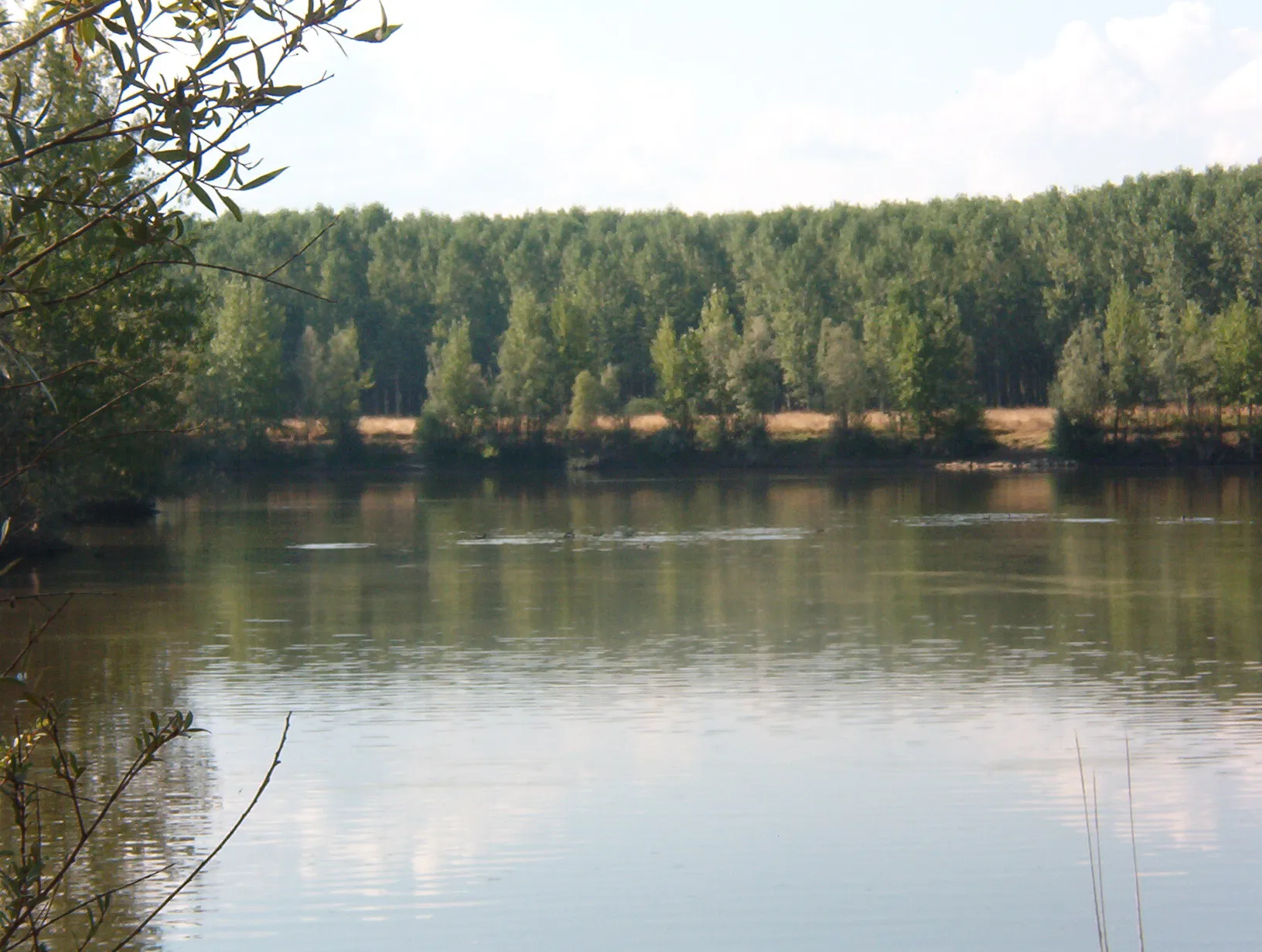 Photo showing: Río Esla