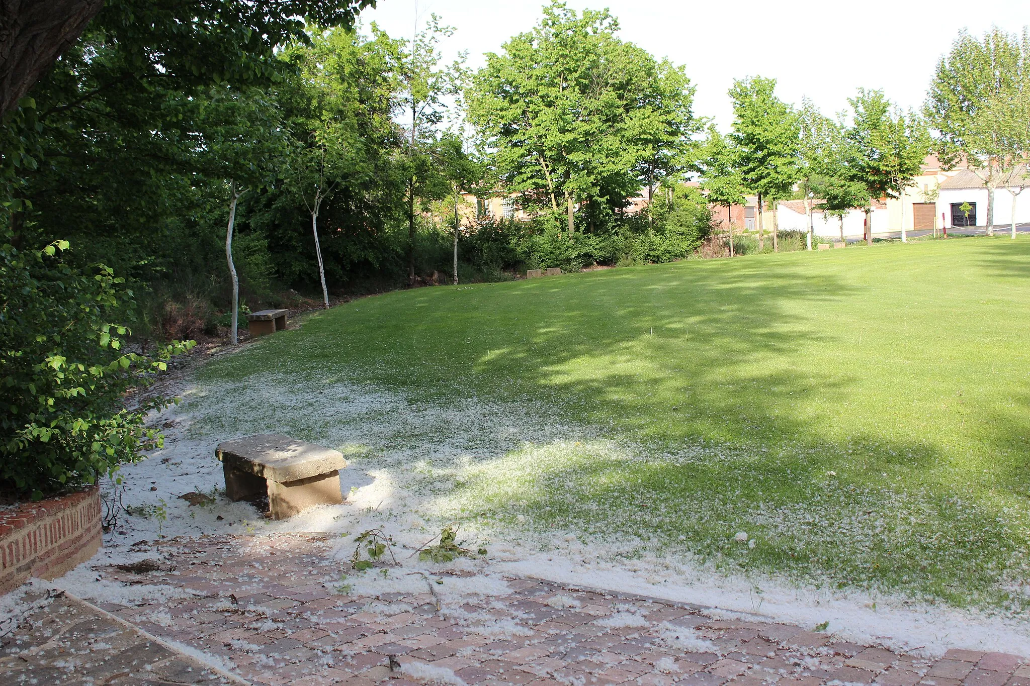 Photo showing: Banco en el jardín de Villamañán en primavera.