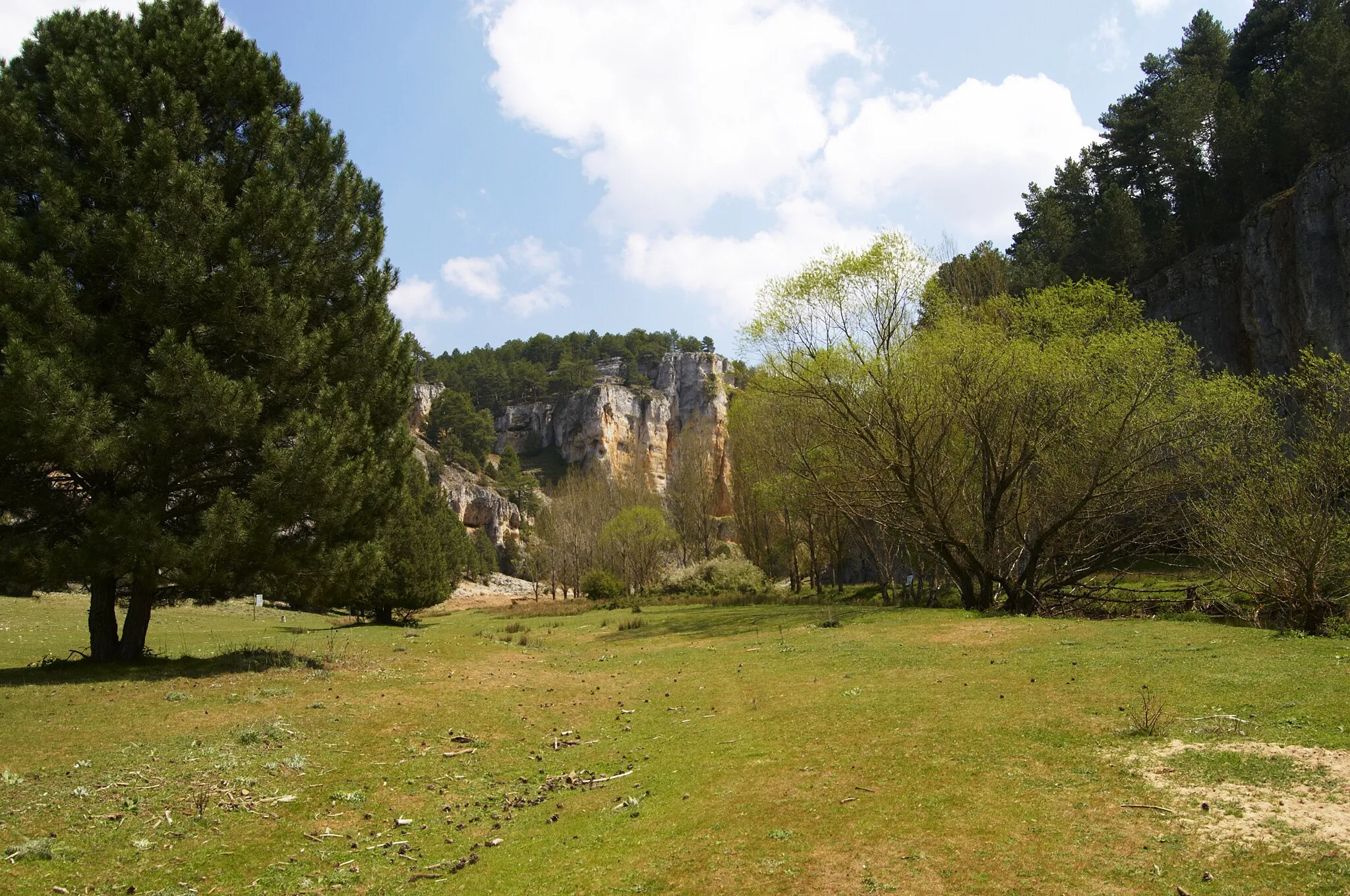 Photo showing: Camino