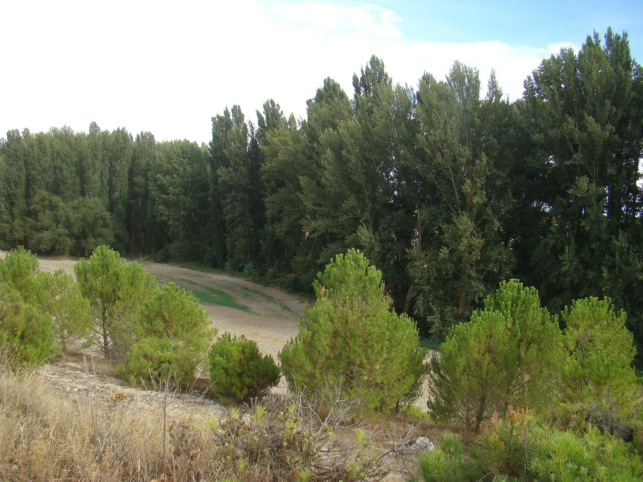 Photo showing: El despoblado de Minguela pertenecía a la Comunidad de Villa y Tierra de Cuéllar, dentro del Sexmo de Valcorba. La mayor parte del que fue su territorio se ubica en el municipio de Bahabón, y el restante en el de Campaspero.
La zona donde se asentaba se caracteriza por tener numerosos manantiales y fuentes, entre ellas la que da origen al arroyo Valcorba.