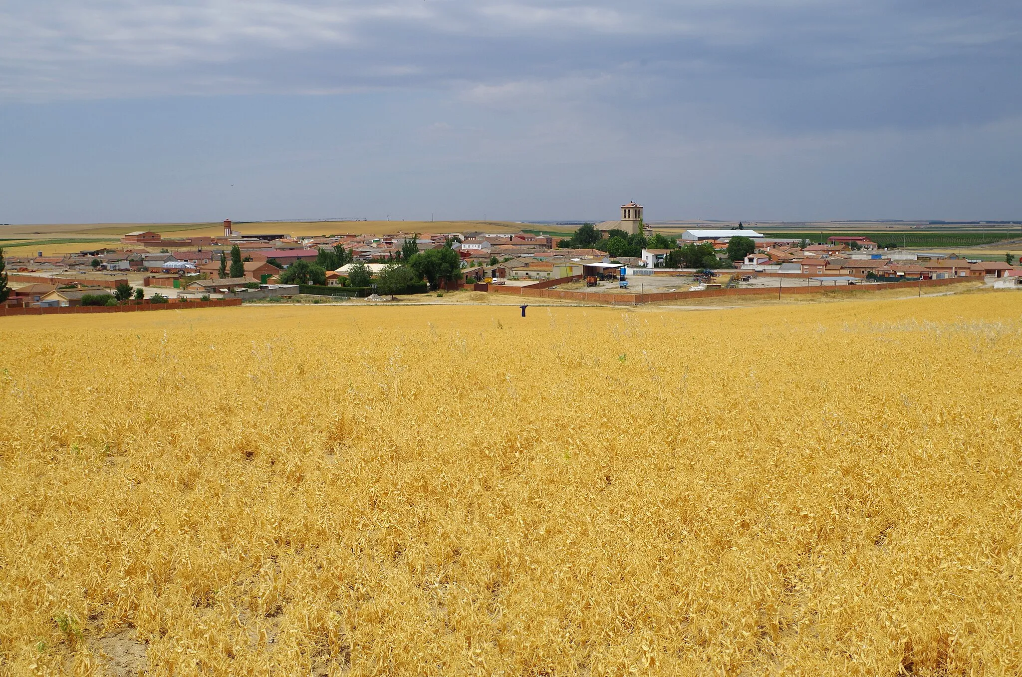 Photo showing: Bobadilla del Campo and pea field (Valladolid, Spain)