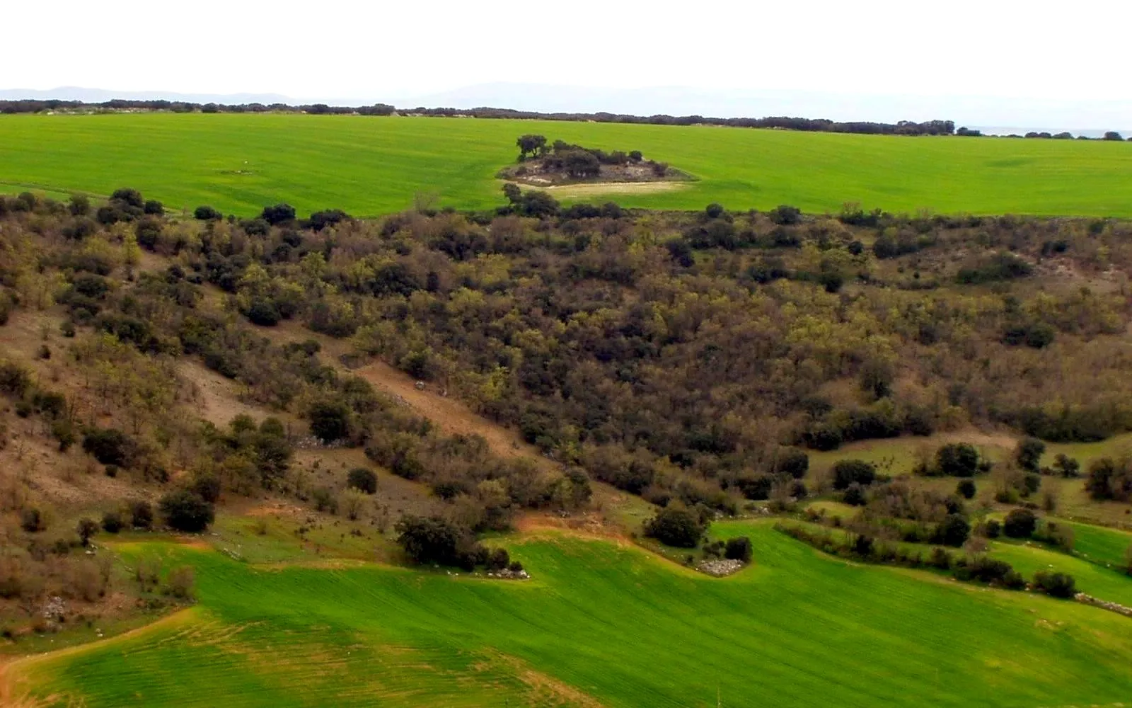 Photo showing: Corrales de Duero. Valladolid. Los Prados. Vista desde El Monte de San Llorente.