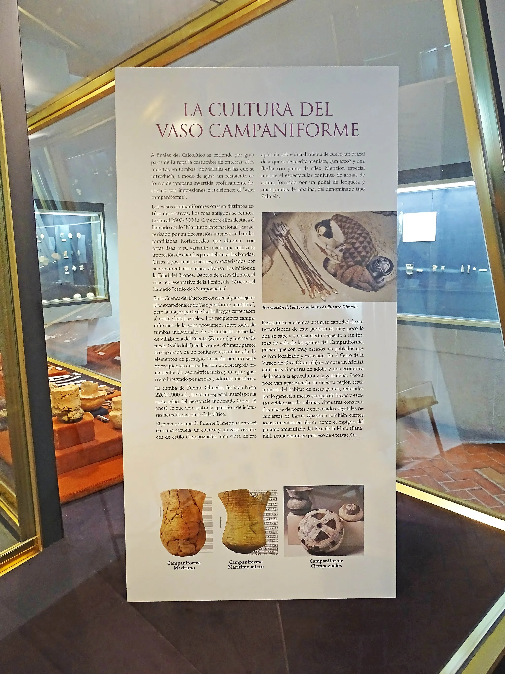 Photo showing: Cultura del vaso campaniforme; panel divulgativo. Museo de Valladolid (España).