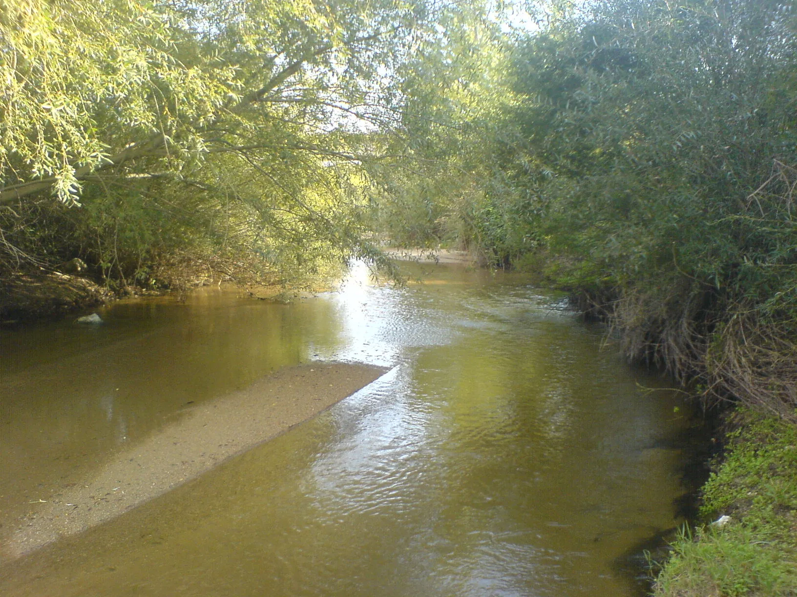 Photo showing: Río Adaja en Villalba de Adaja