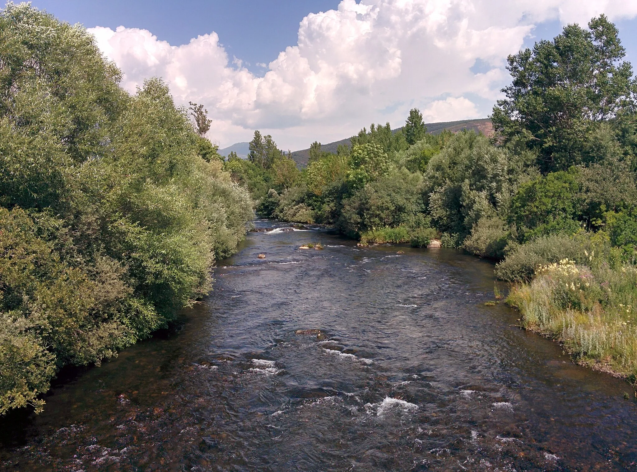 Photo showing: Río Pisuerga a su paso por Arbejal (Palencia, España).