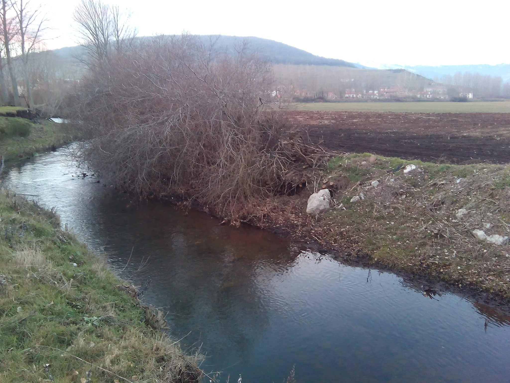 Photo showing: Río Rubagón en las proximidades de Cillamayor, en Palencia (España)
