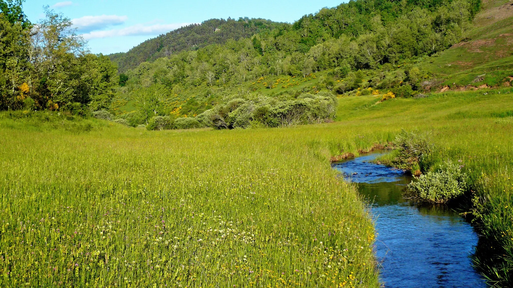 Photo showing: This is a photography of a Special Area of Conservation in Spain with the ID: