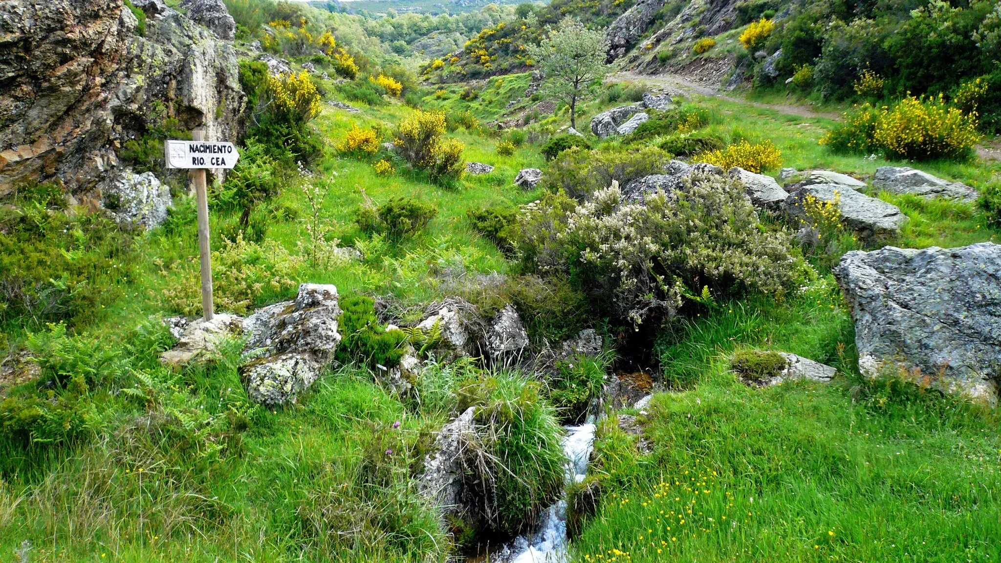 Photo showing: This is a photography of a Special Area of Conservation in Spain with the ID:
