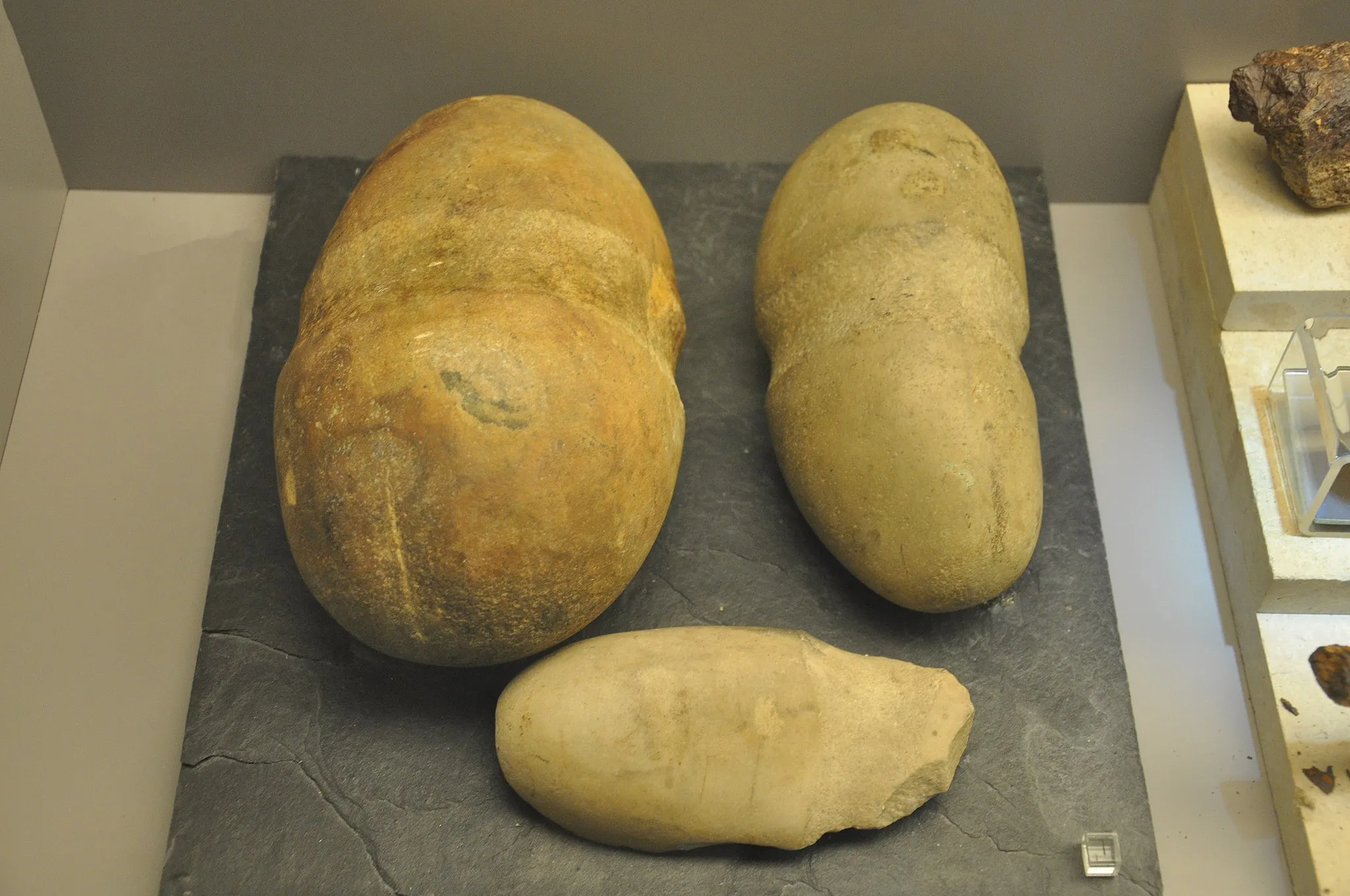 Photo showing: Mazas de la Mina de "La Profunda" (Cármenes), Edad del Bronce Antiguo, 2500-1500 a.C. de la exposición permanente del Museo de León