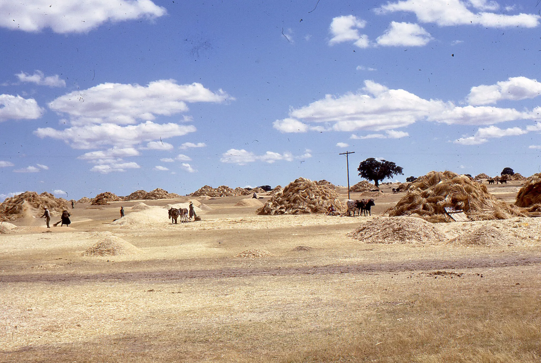 Photo showing: Martín de Yeltes - Wheat threshing floor.