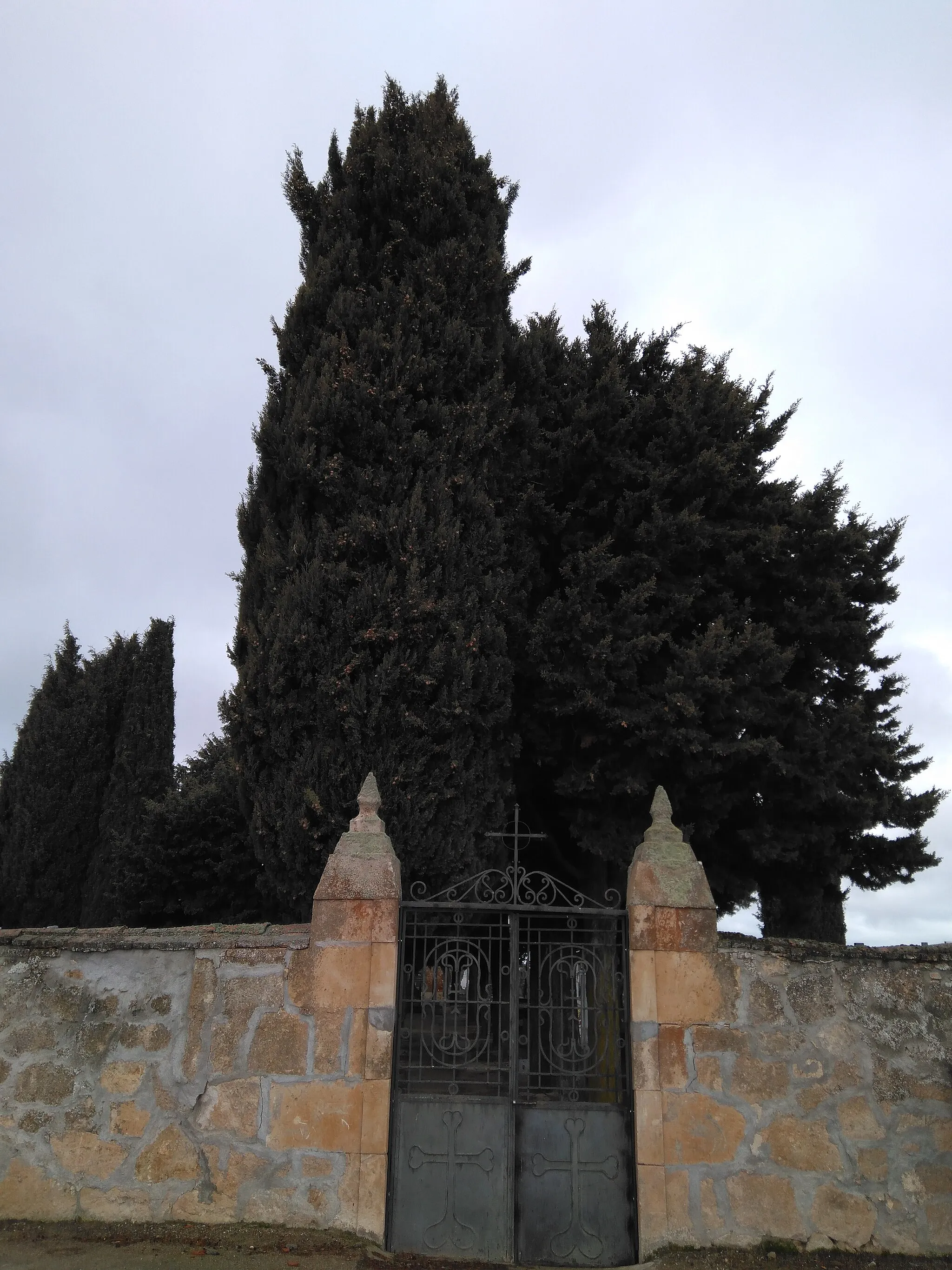 Photo showing: Entrada a el cementerio de Barbadillo
