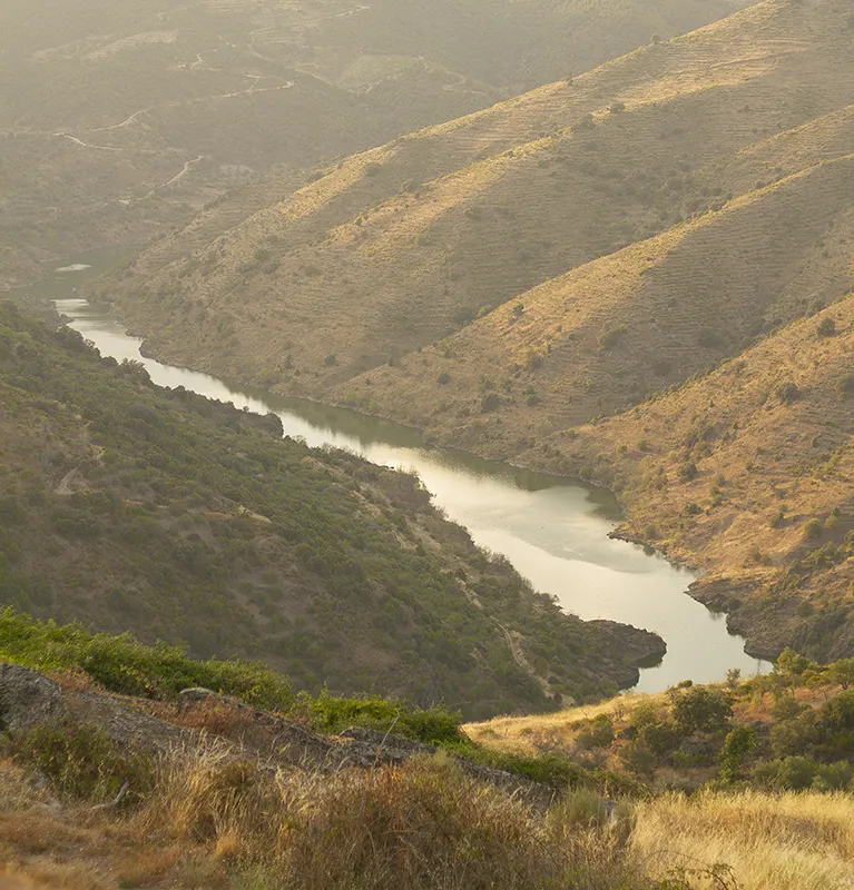 Photo showing: The arribes of Duero in summer, Villarino de los Aires, Castile and León (Spain)