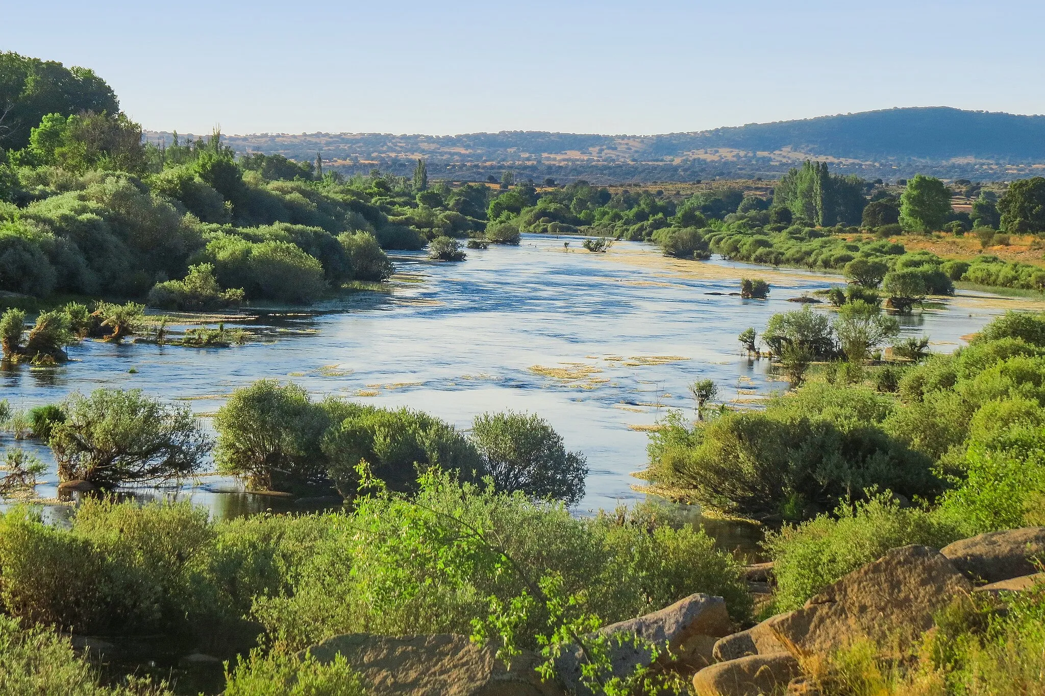 Photo showing: Riberas del río Tormes y afluentes