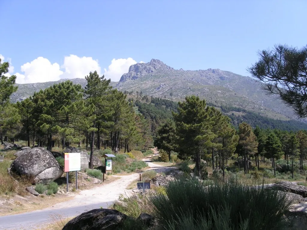 Photo showing: Gredos - Cerca de Arenas de San Pedro