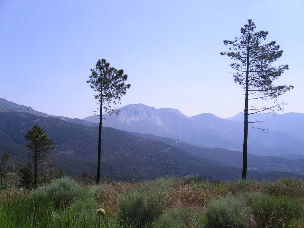 Photo showing: 2007-07-07 Gredos - Cerca de Arenas de San Pedro