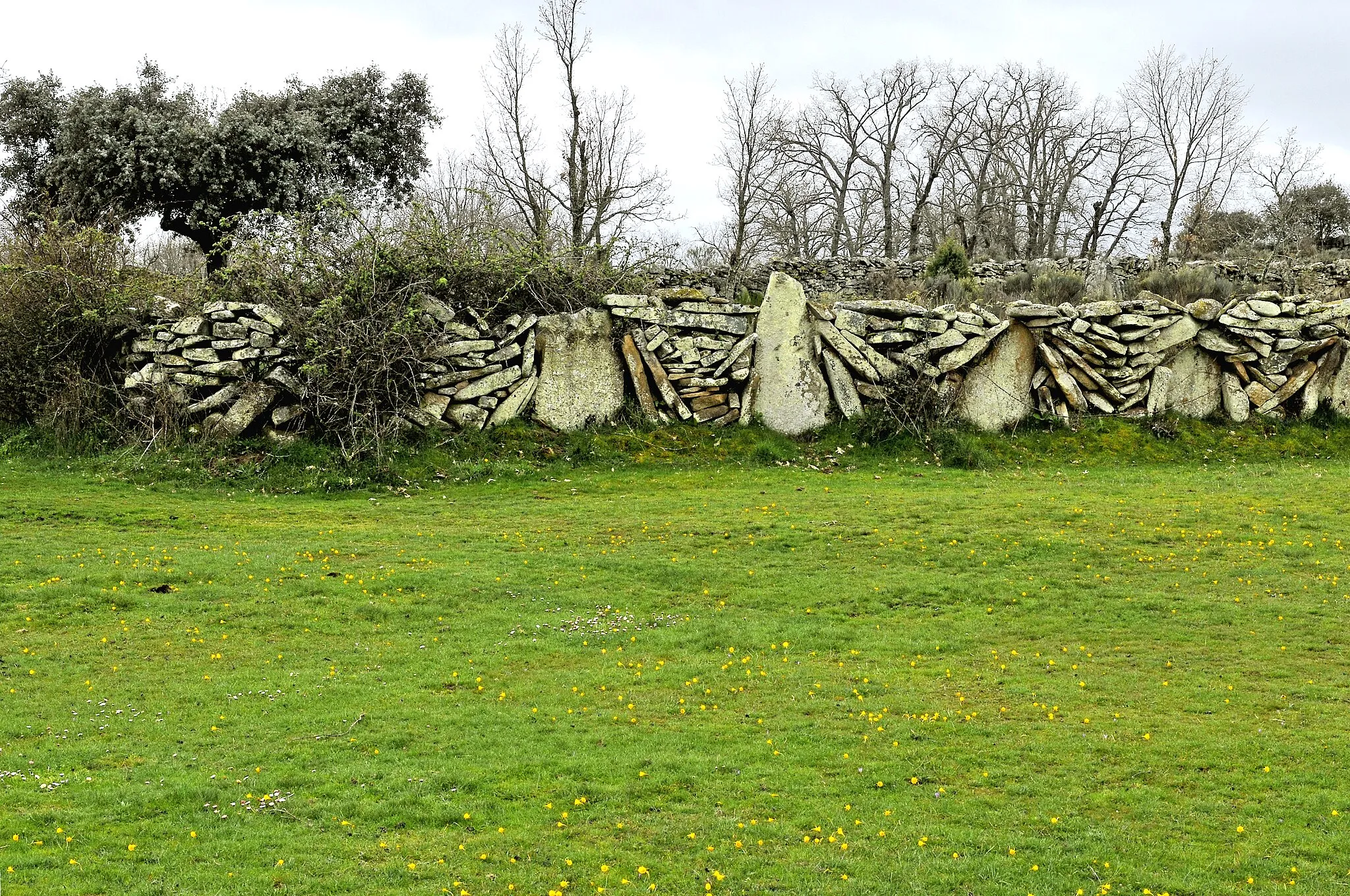 Photo showing: Dry stone fence. Fornillos de Fermoselle, Zamora, Castile and León, Spain