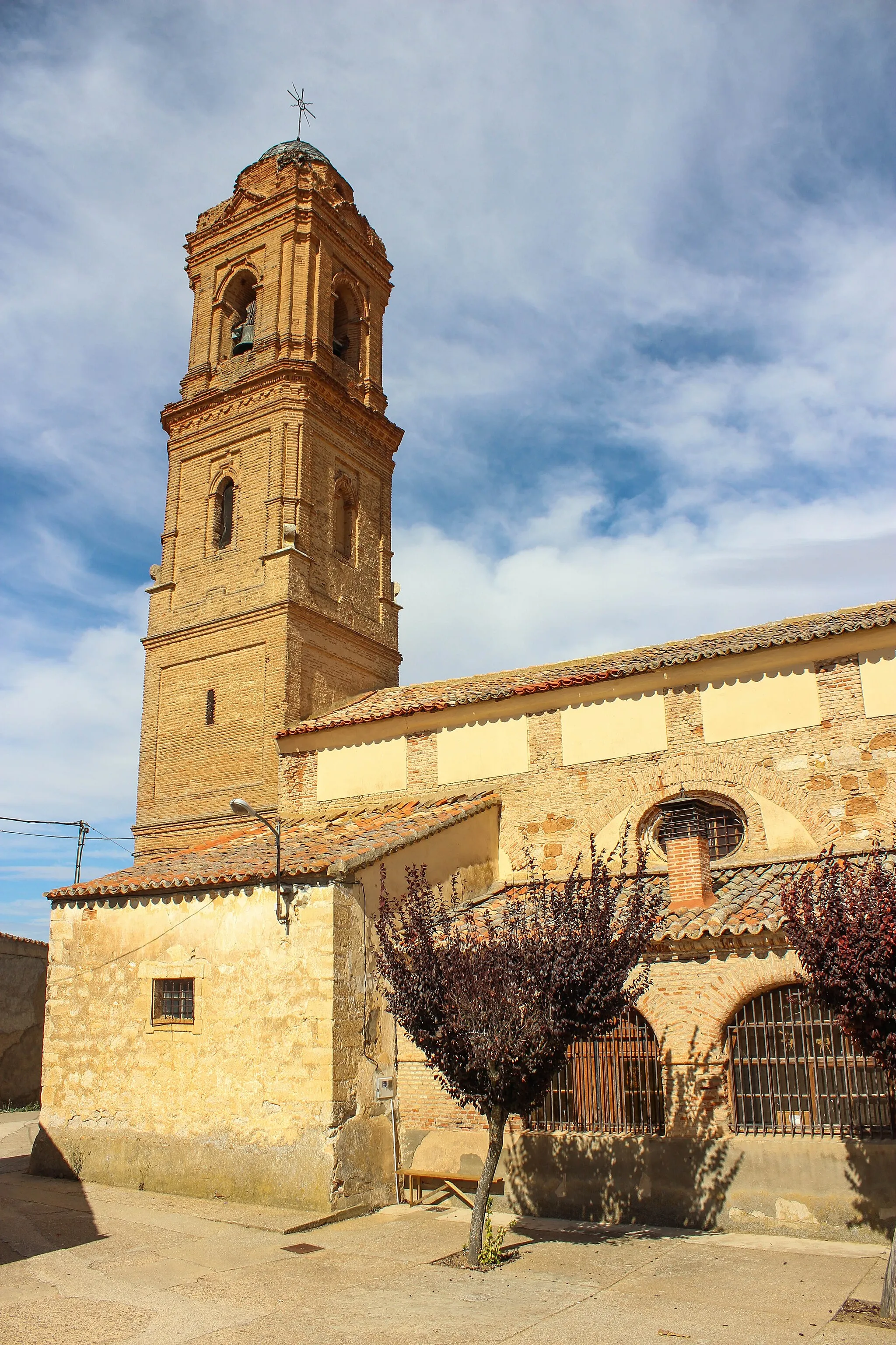 Photo showing: Campo de Zamora.