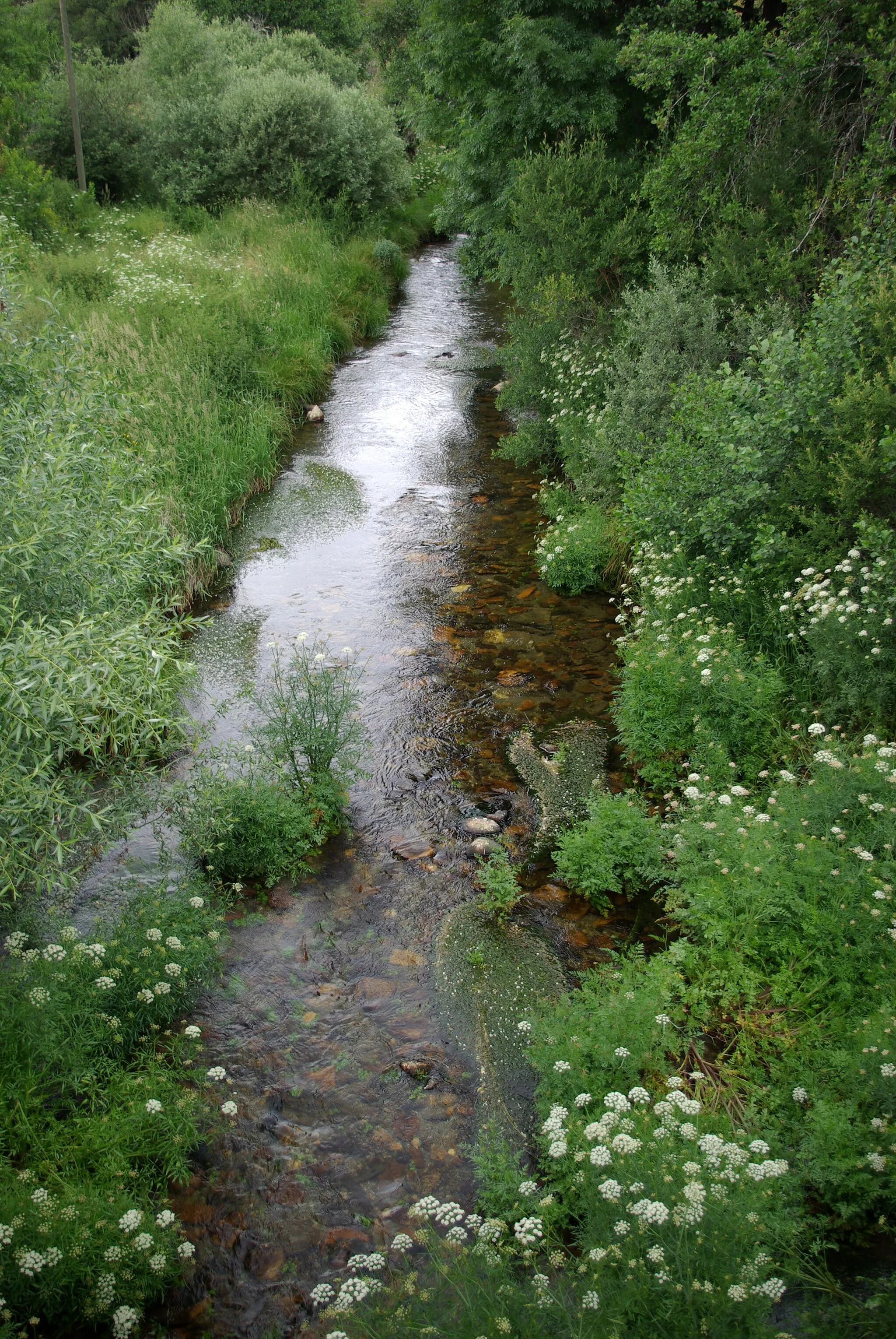 Photo showing: River Omañón in Omañón (Riello, León, Spain)