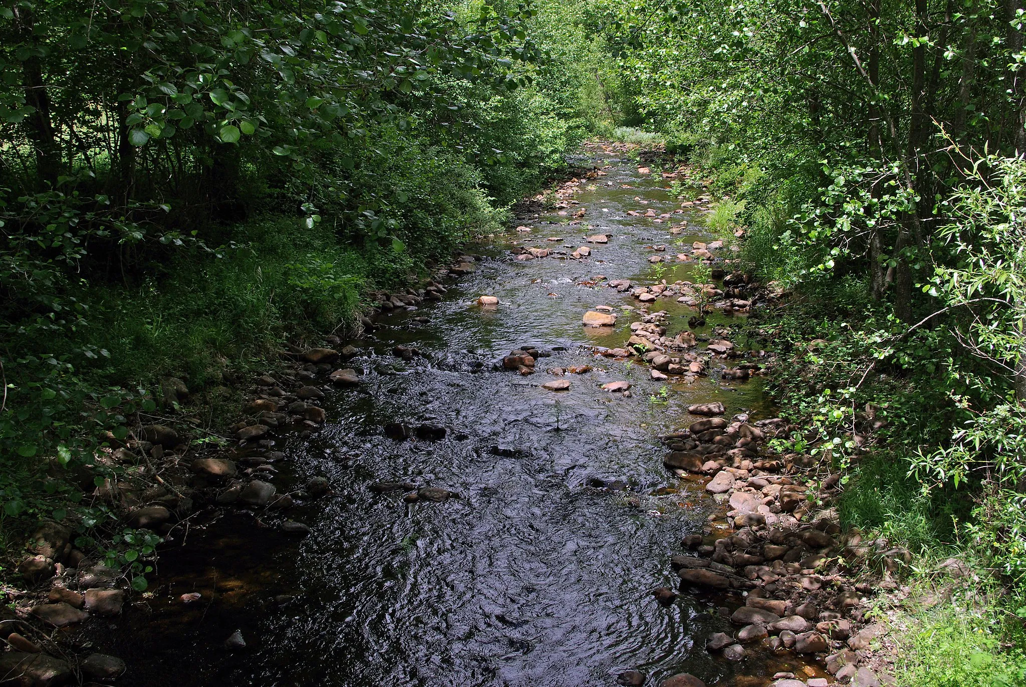 Photo showing: River Valdesamario, Órbigo basin, near Valdesamario (León, Spain).