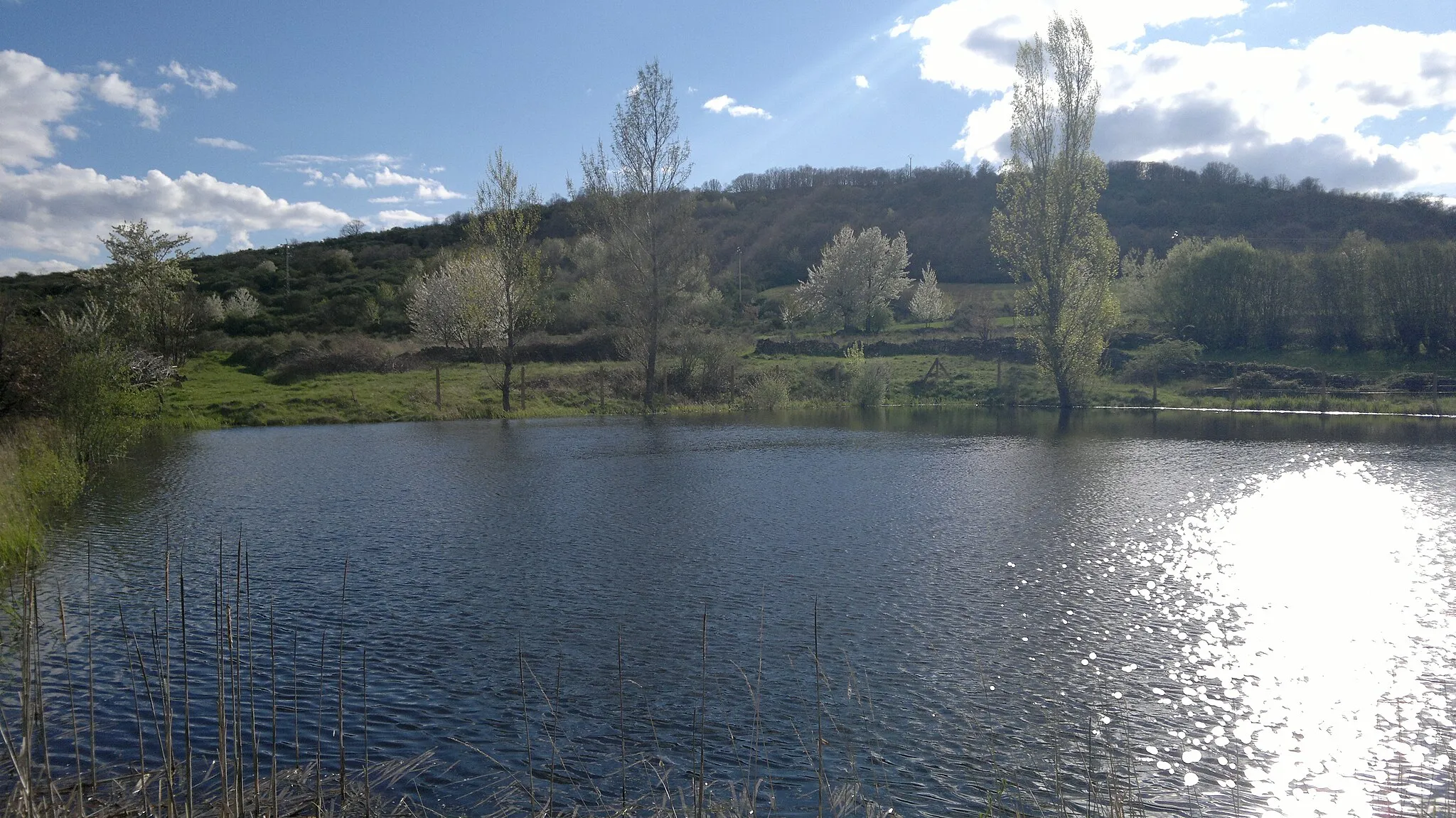 Photo showing: Pond of Irián