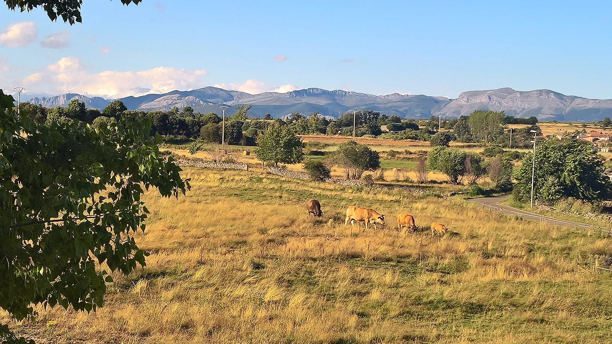 Photo showing: Vista de la Cordillera Cantábrica desde Irián