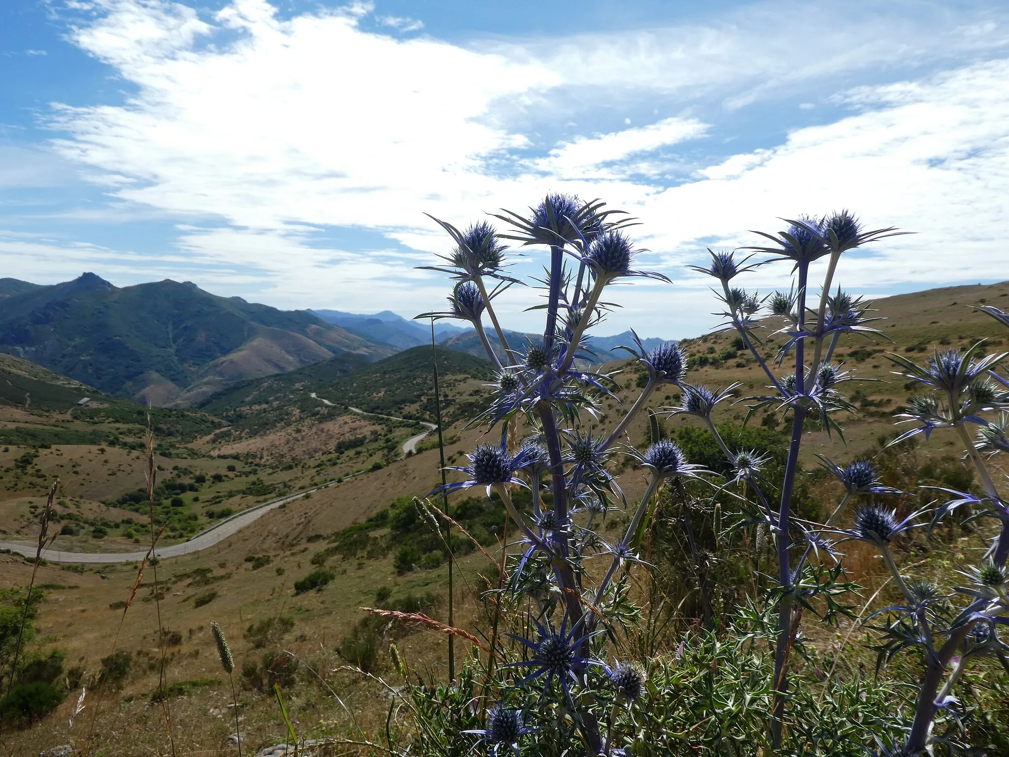 Photo showing: This is a photography of a Special Area of Conservation in Spain with the ID: