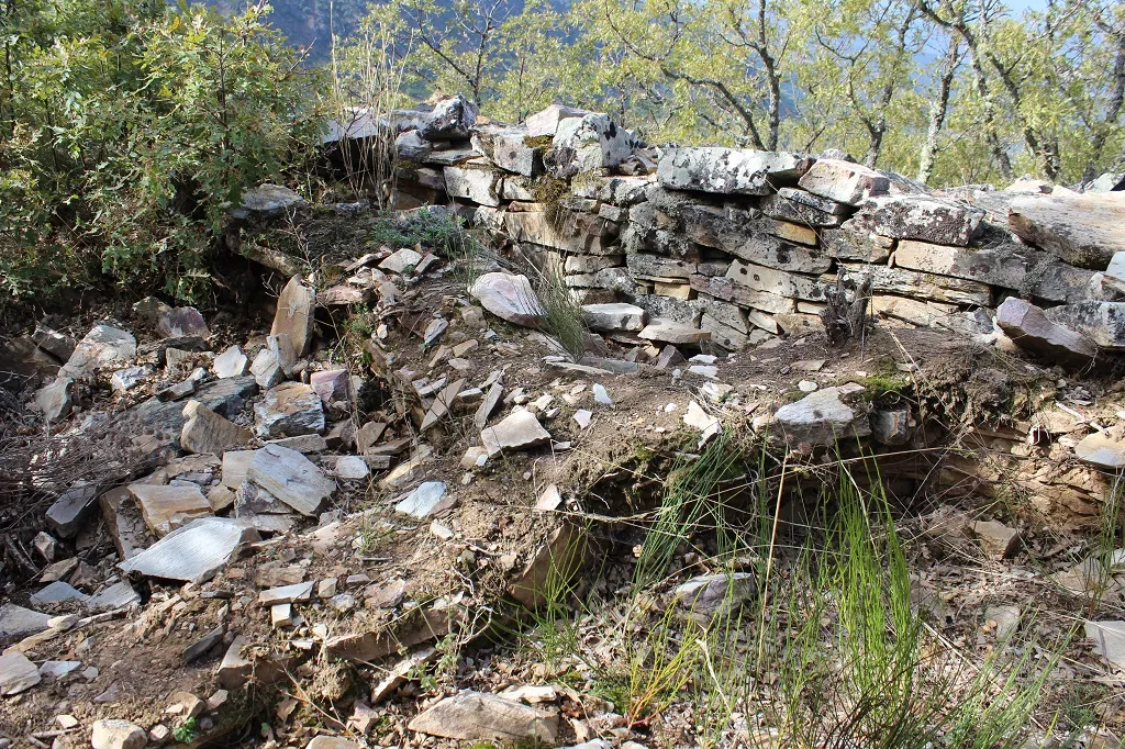 Photo showing: Interior  y resto de la muralla al fondo del Castro de peña del Hombre en Paradela de Muces