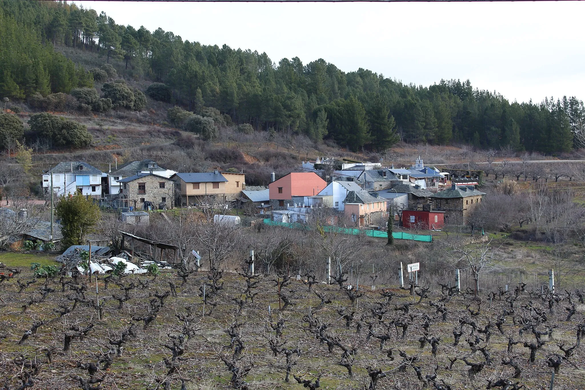 Photo showing: Vista general de San Miguel de Arganza