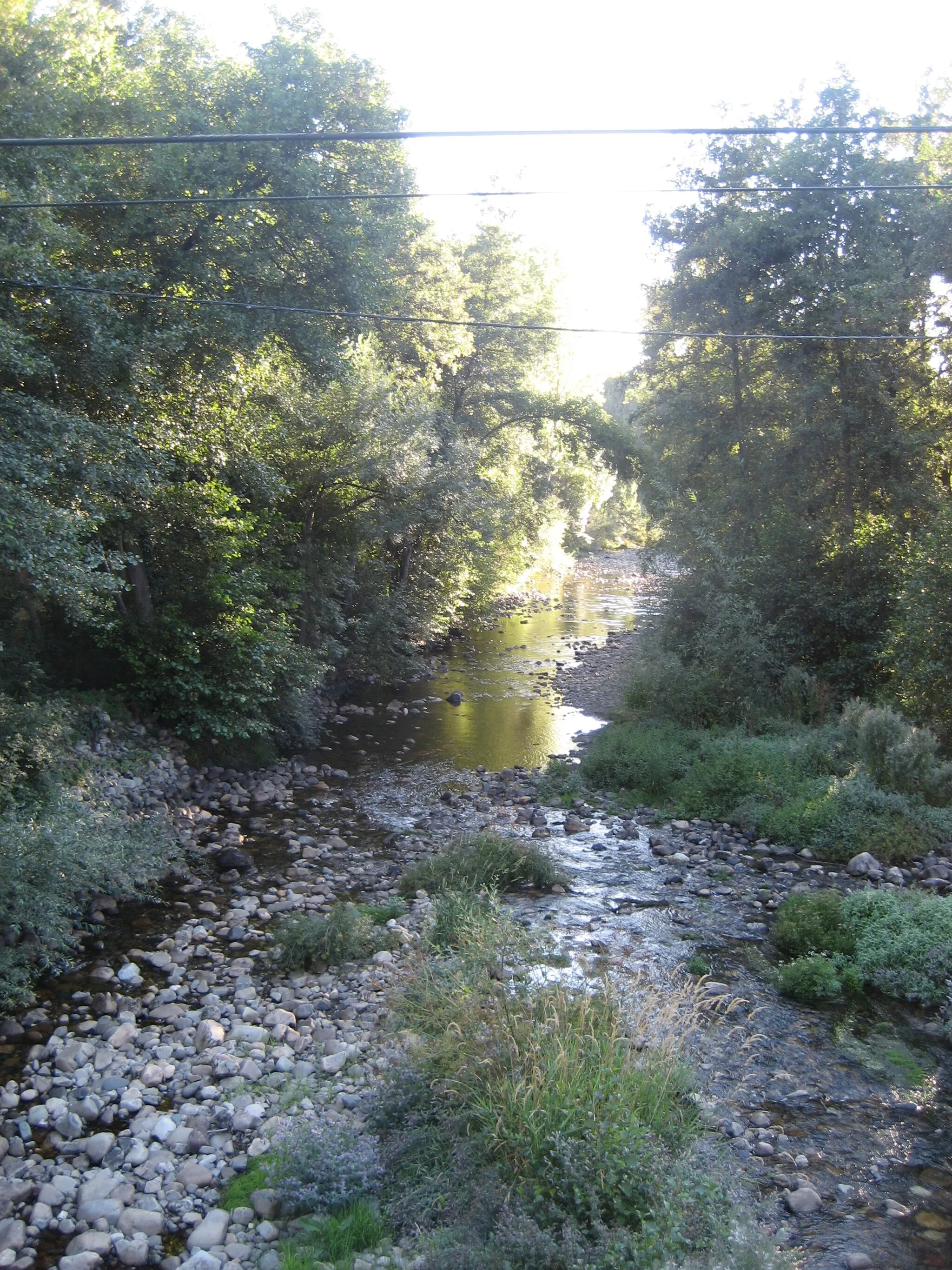 Photo showing: Vista del río Boeza en verano a su paso por Albares de la Ribera.