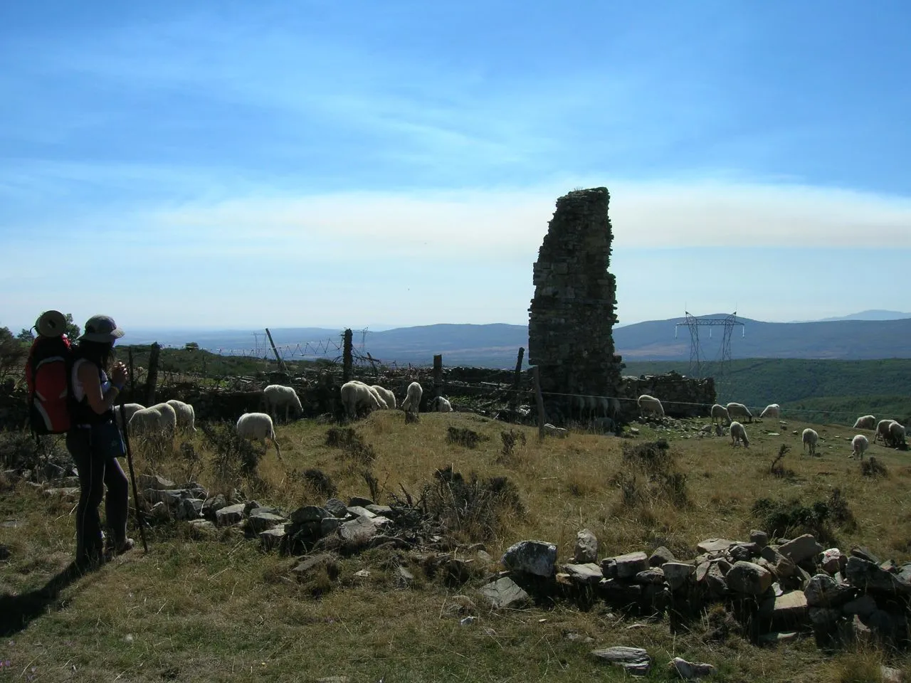 Photo showing: Rebaño de ovejas en Foncebadón.
