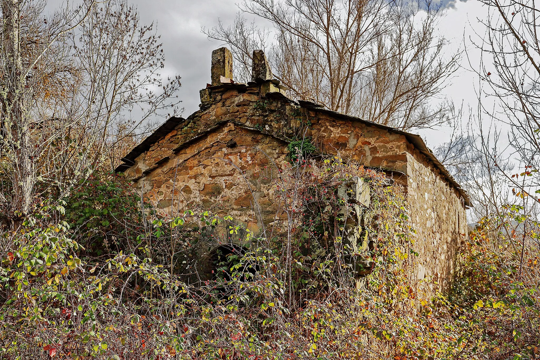 Photo showing: Cerezal de Tremor es un despoblado que pertenece al municipio de Torre del Bierzo, en la comarca de El Bierzo, provincia de León.