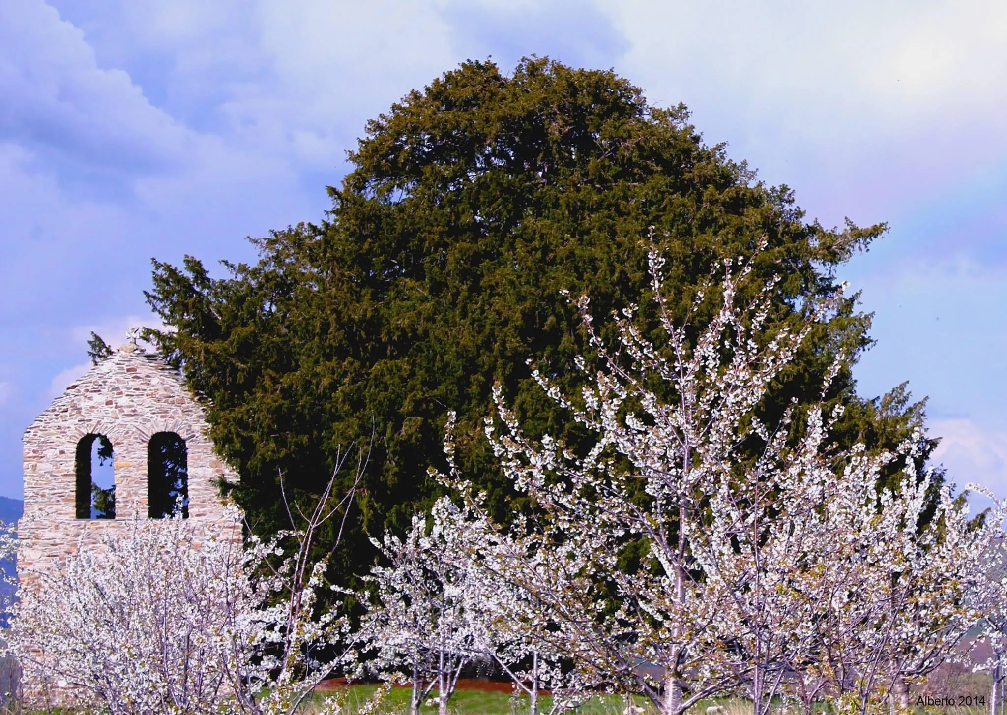 Photo showing: Tejo Milenaro San Cristóbal de Valdueza - Primavera