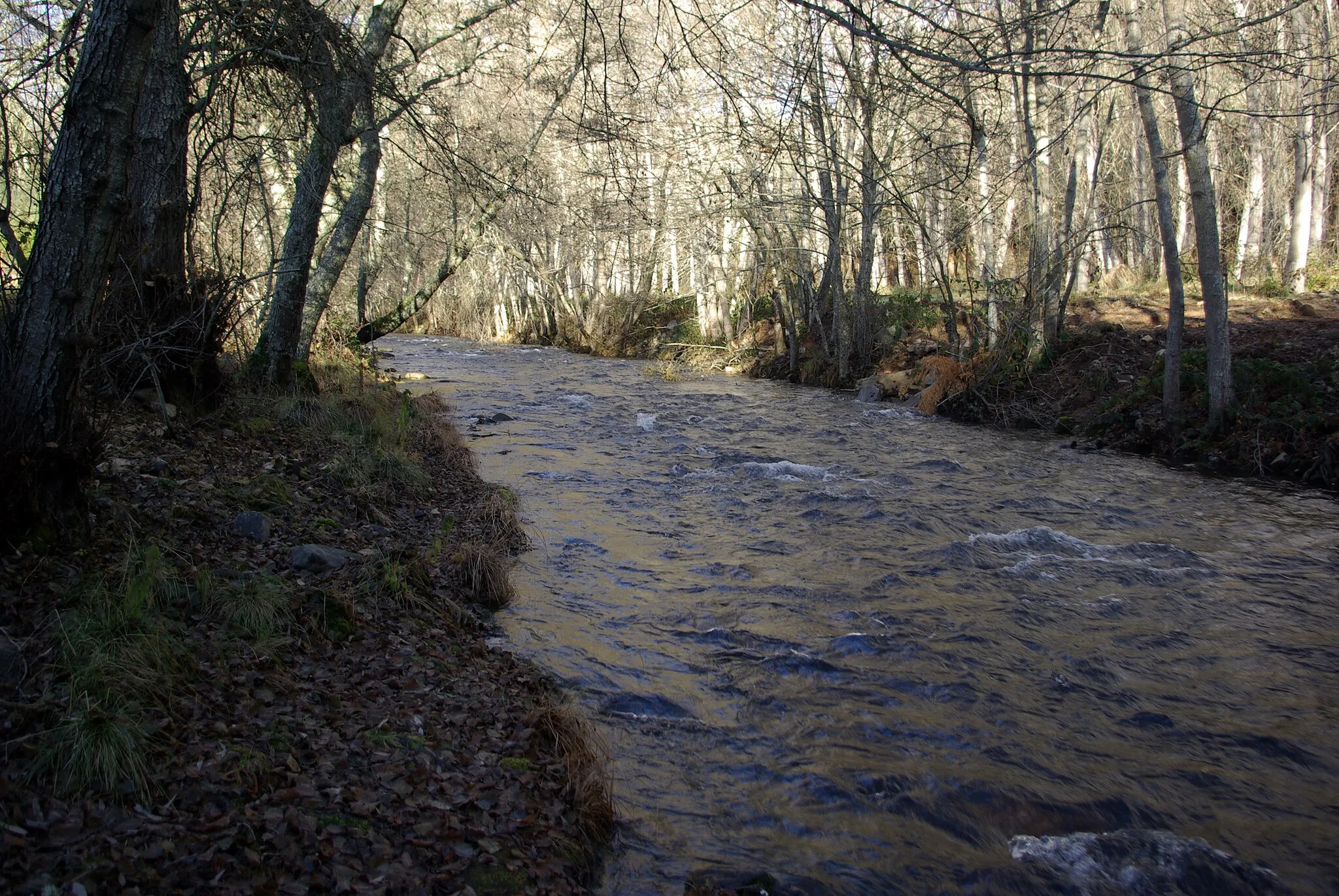 Photo showing: River Ancares very close its mouth in river Cúa, near Espanillo (Arganza, León, Spain)