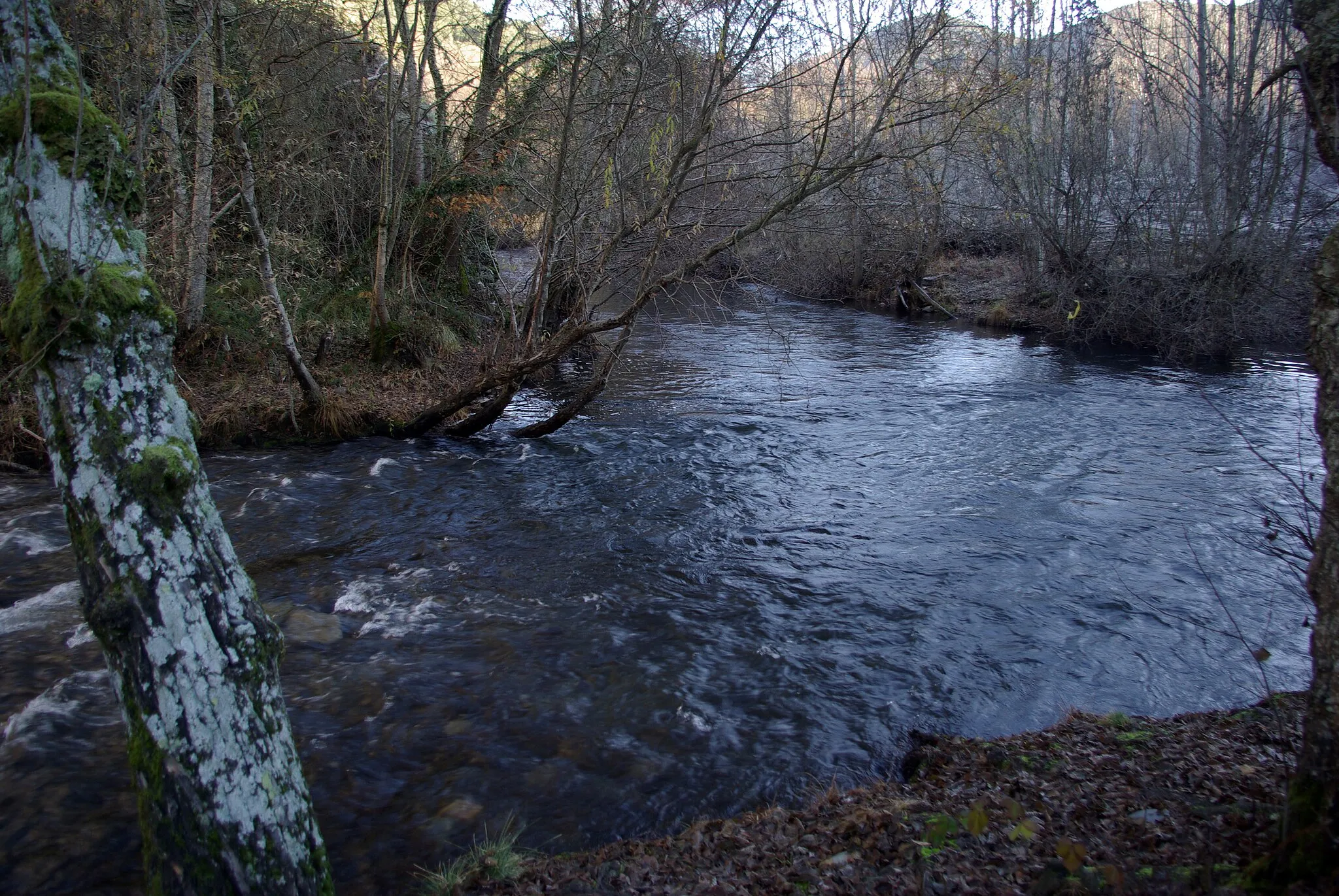 Photo showing: Mouth of river Ancares in river Cúa near Espanillo  (Arganza, Spain)