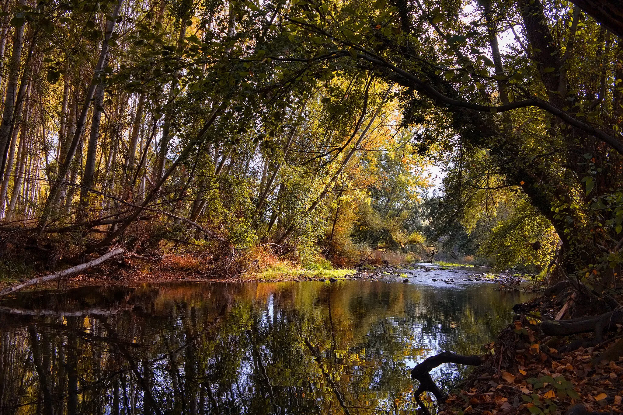 Photo showing: El río Boeza en Calamocos