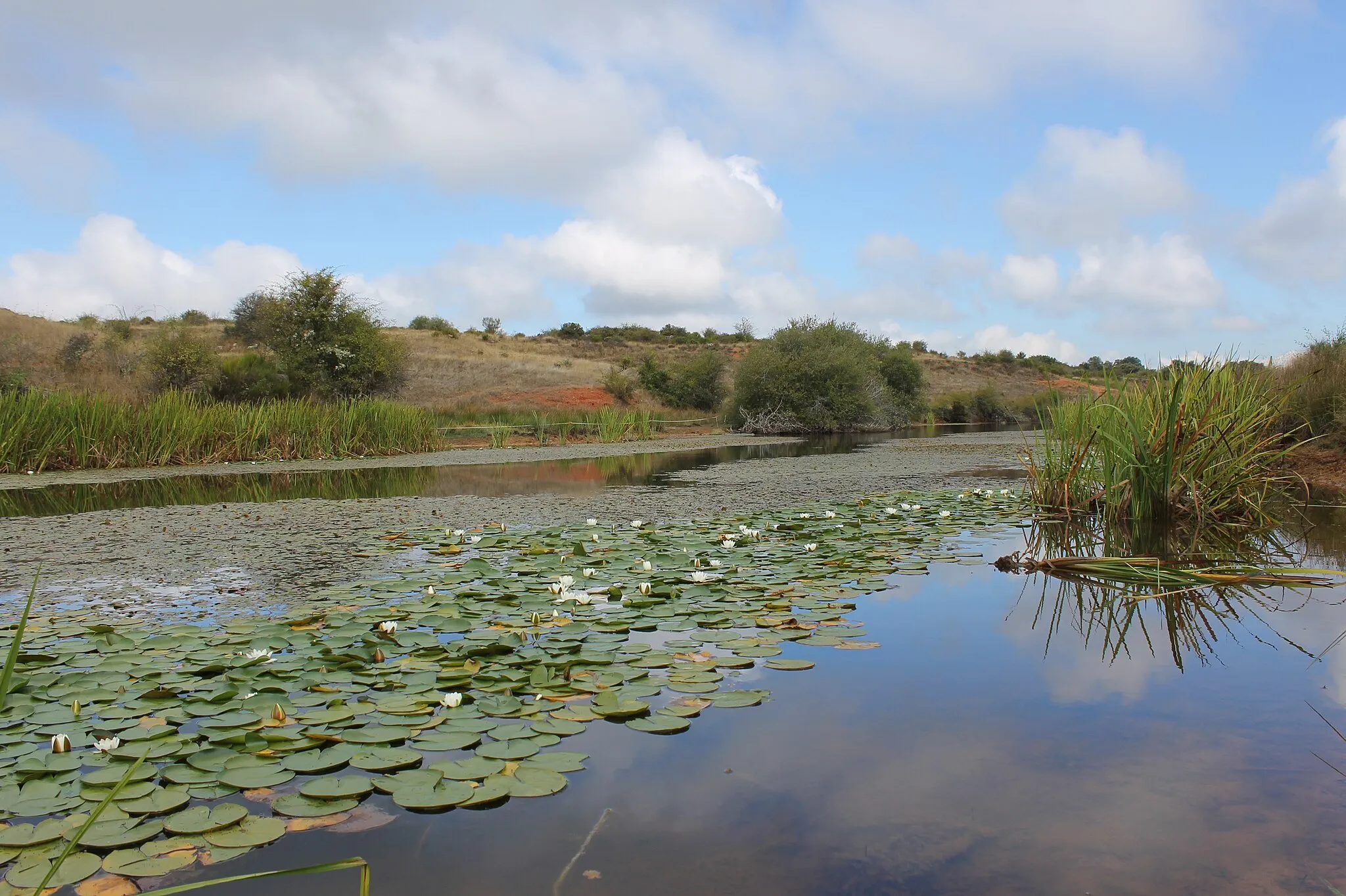 Photo showing: This is a photography of a Special Area of Conservation in Spain with the ID: