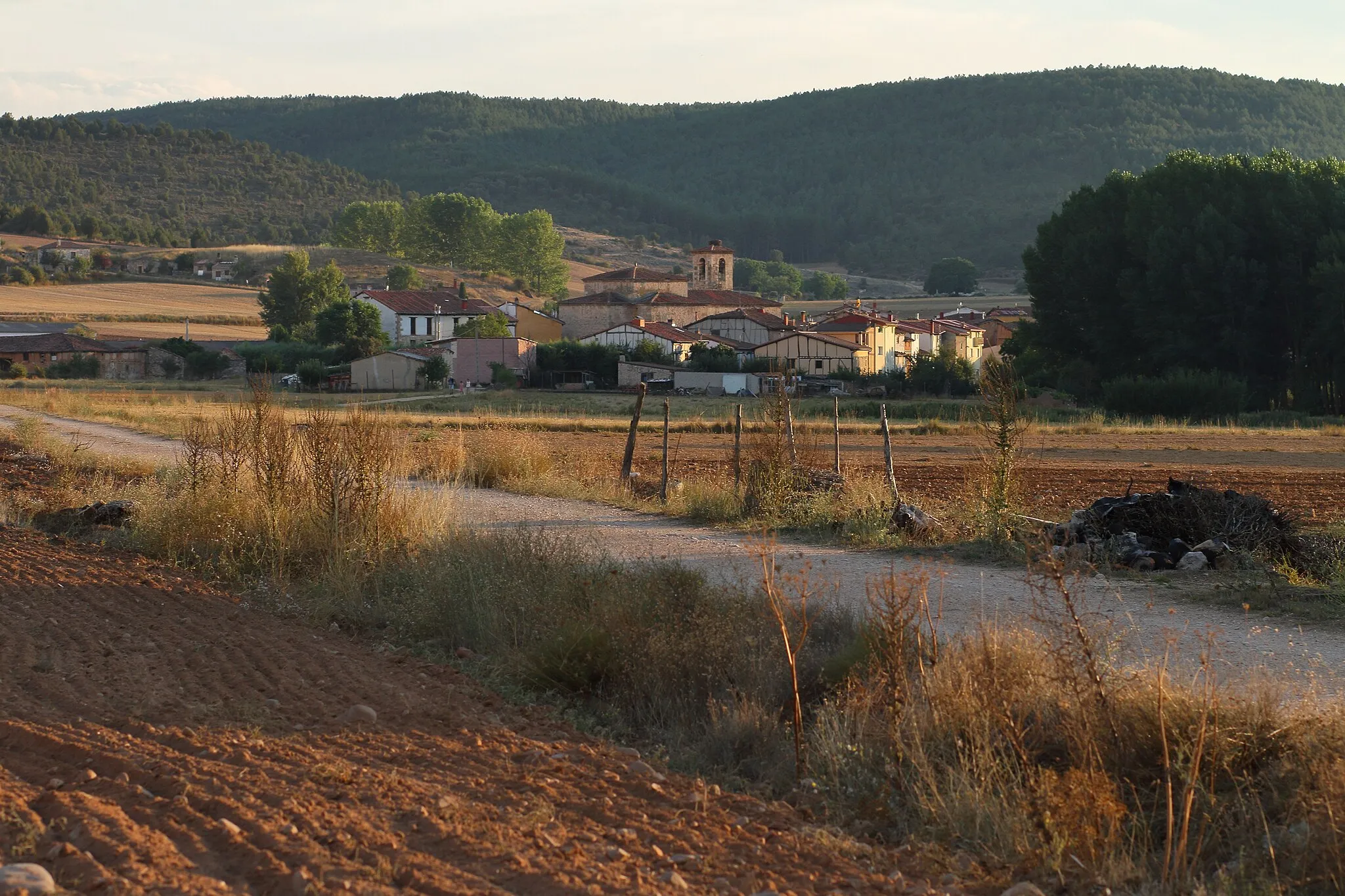 Photo showing: Retuerta, desde camino norte, 01