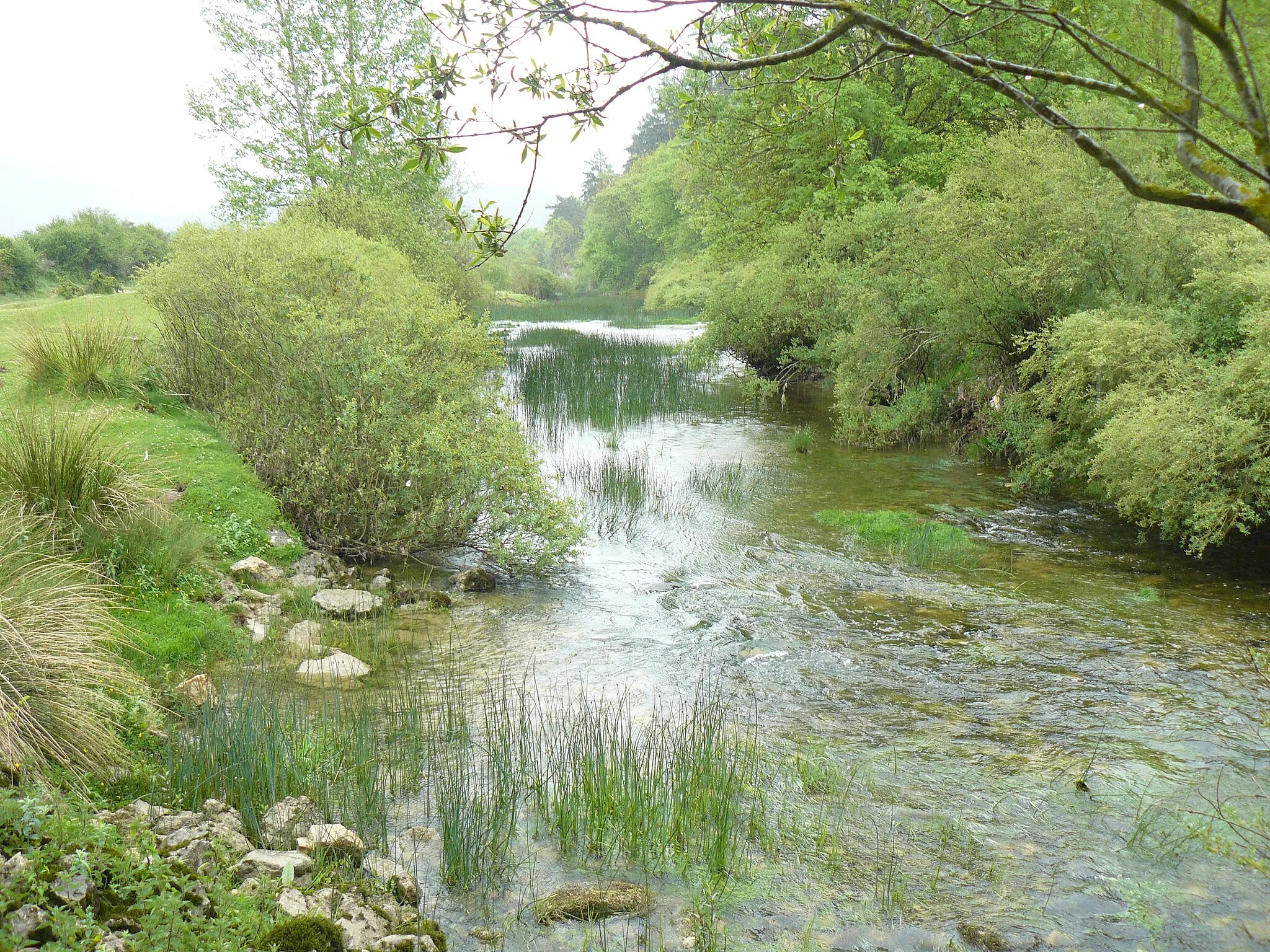 Photo showing: El río Jerea en San Pantaleón de Losa, bajo la peña de la ermita.