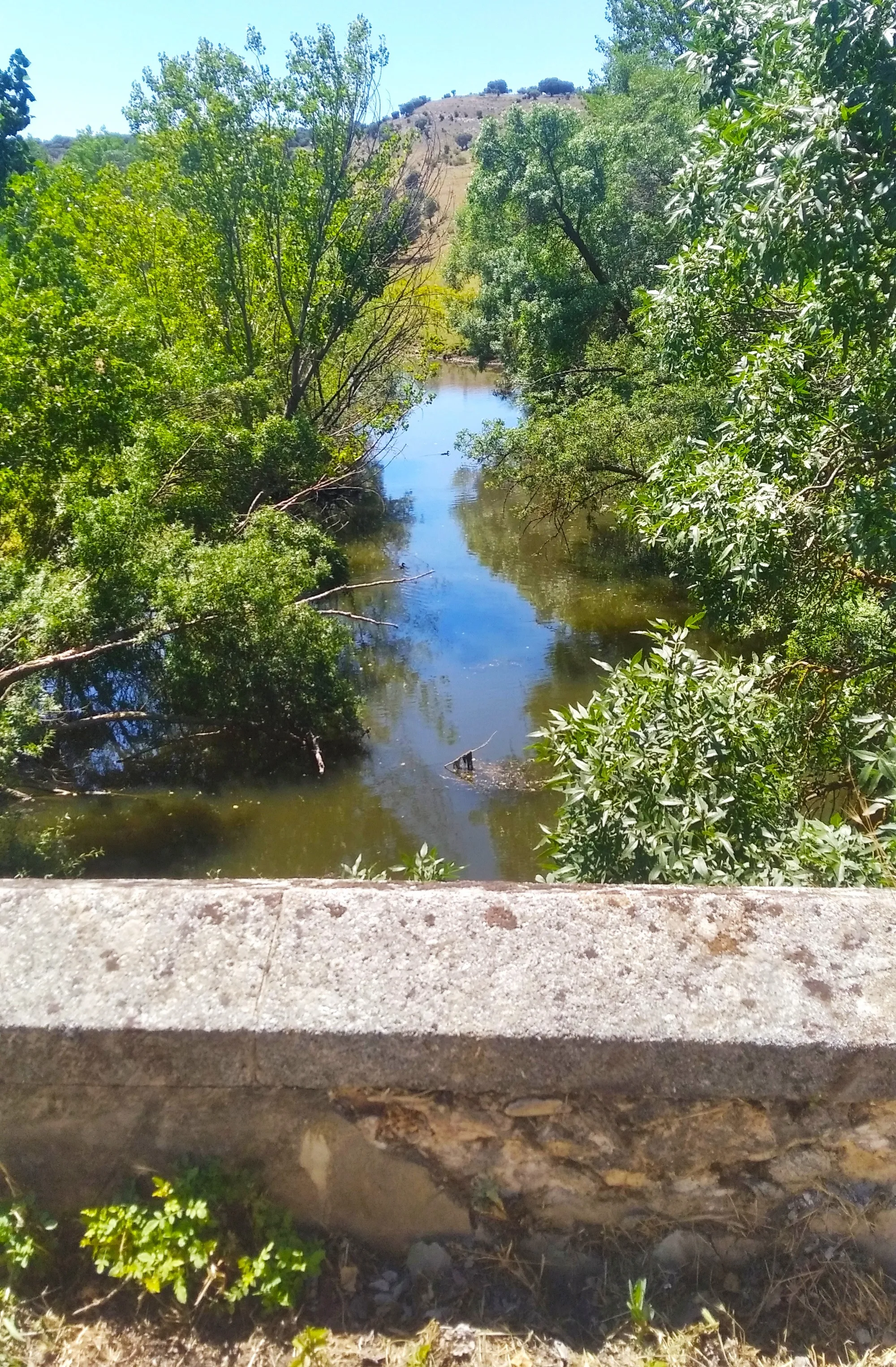 Photo showing: Rio Moros a su paso por Guijasalbas, Valdeprados