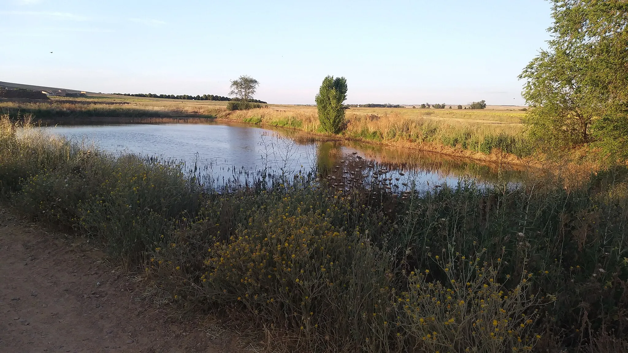 Photo showing: Laguna de los Silos junto a las bodegas en Villamayor de Campos.